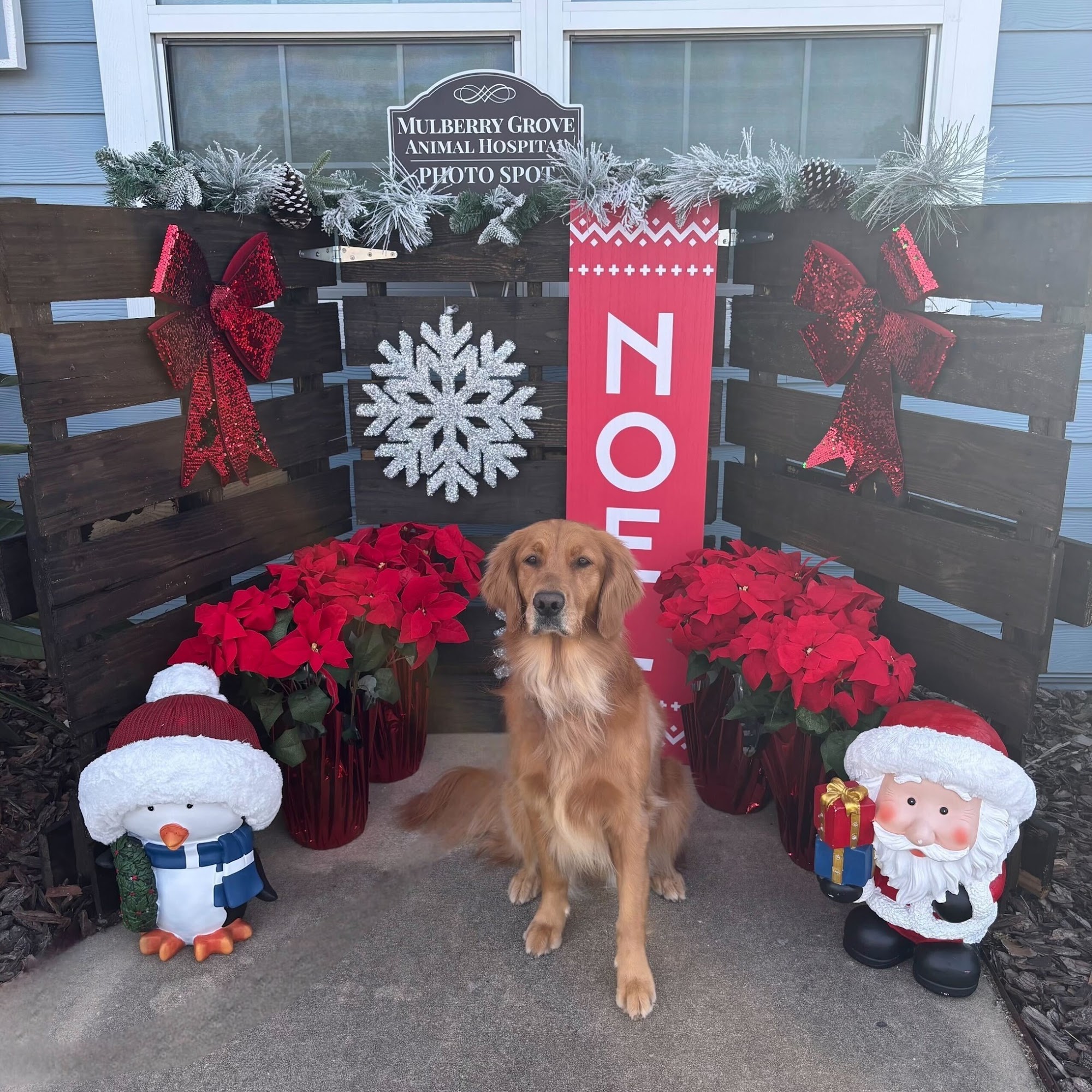 Mulberry Grove Animal Hospital Summerfield