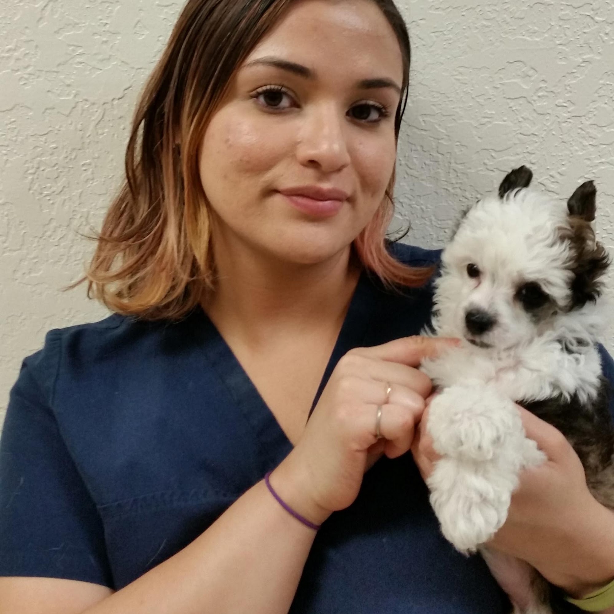 Animal Hospital of University Drive Sunrise