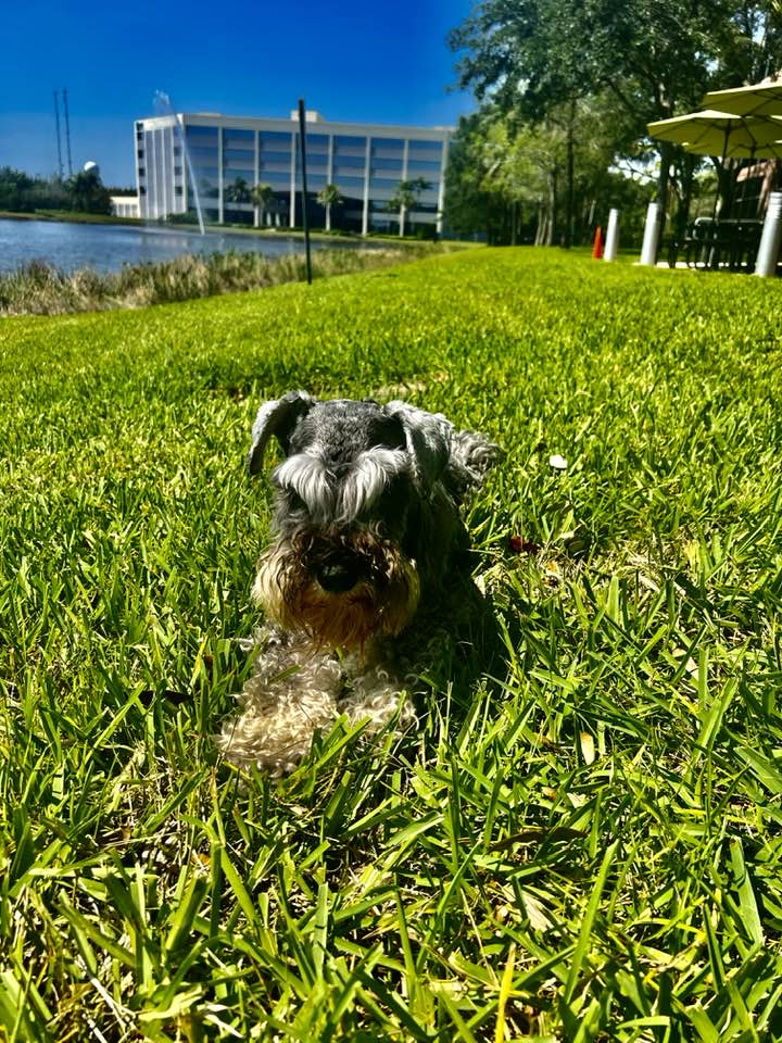 HairUWear Inc. Sales & Marketing Office