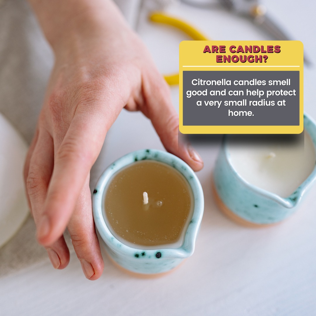 Platinum Mosquito Protection