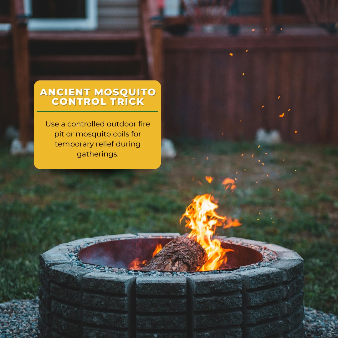 Platinum Mosquito Protection