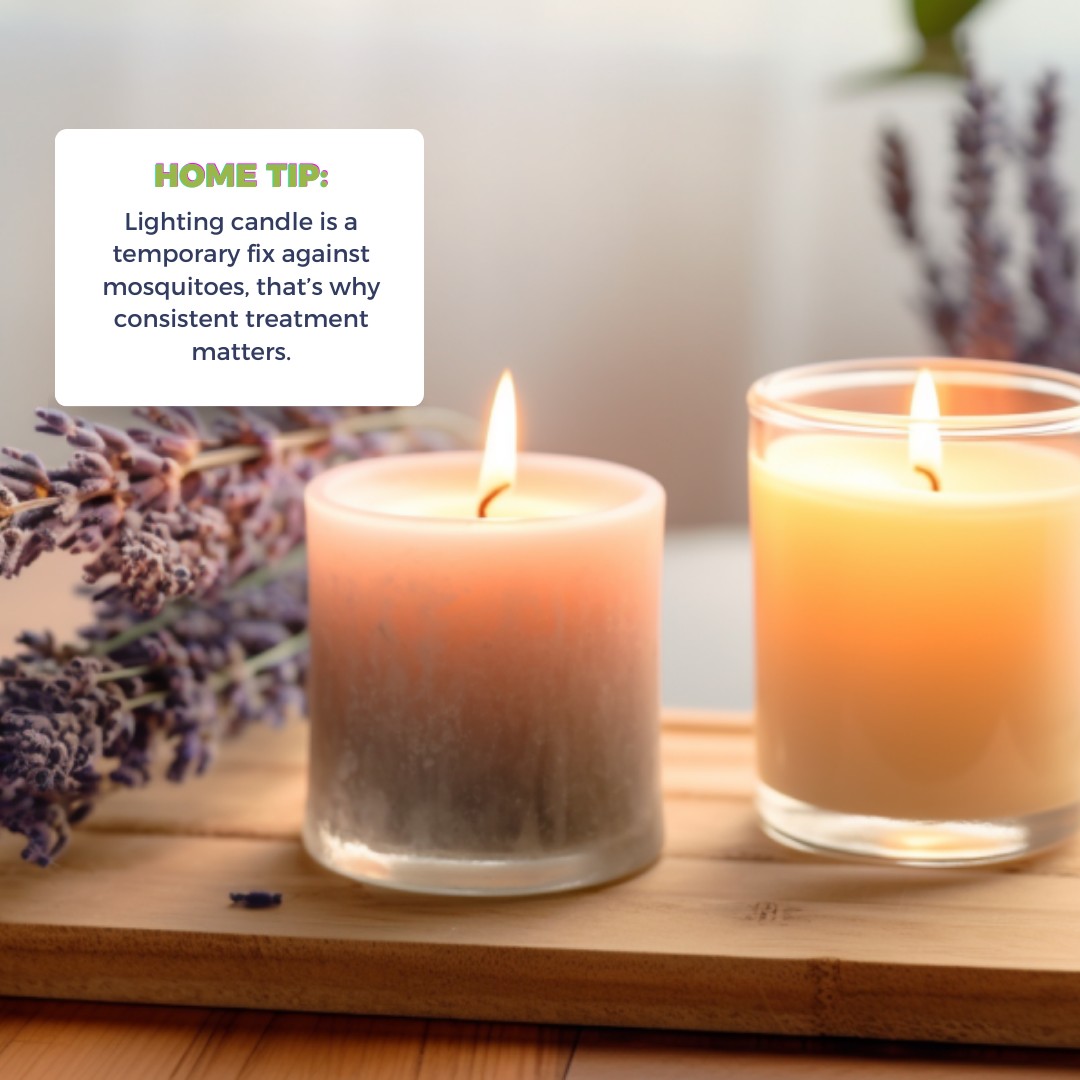 Platinum Mosquito Protection