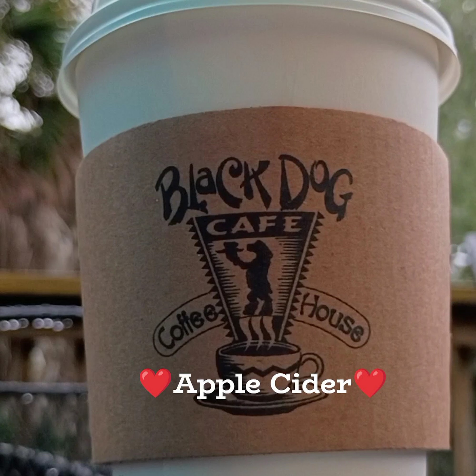 Black Dog Cafe Tallahassee