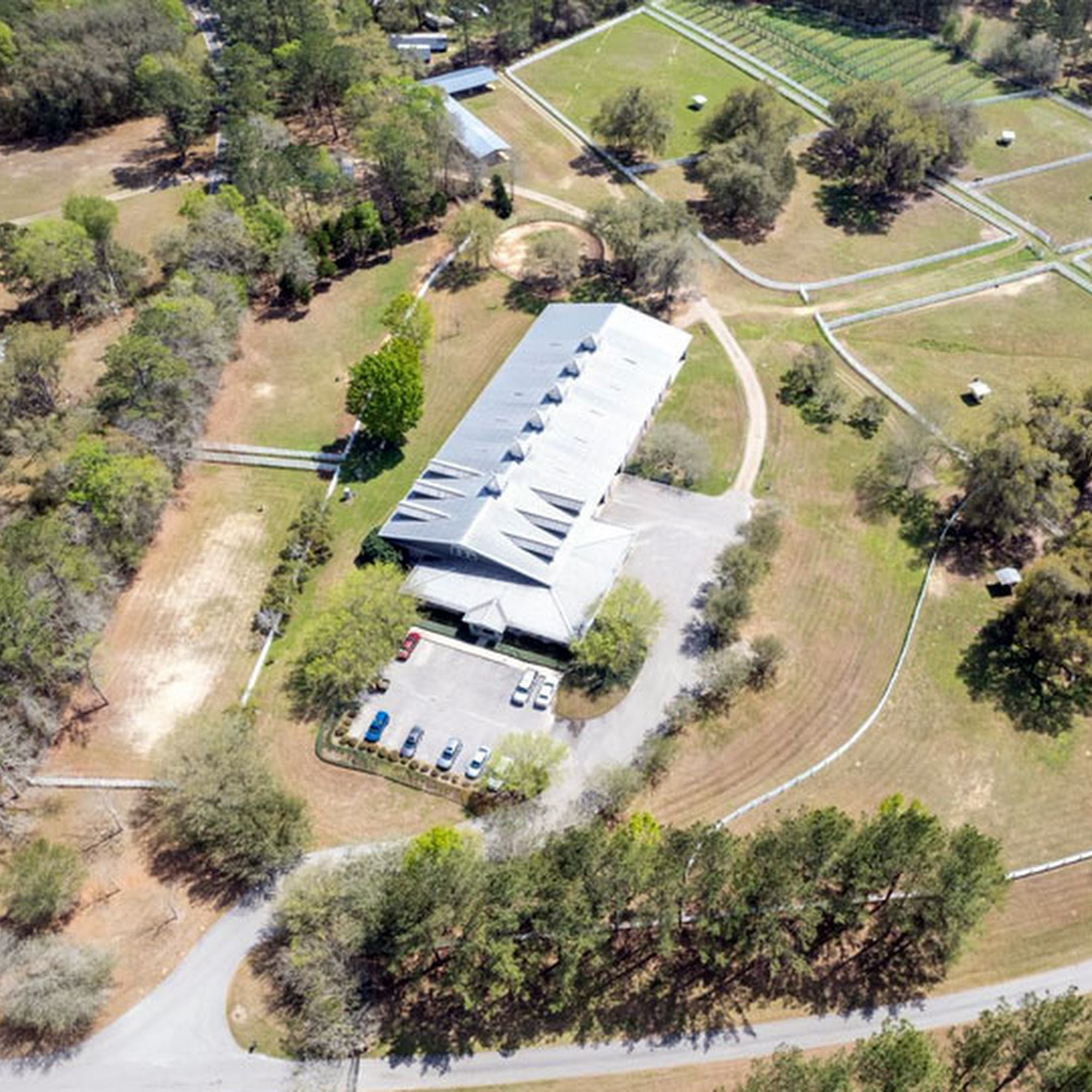 AVS Equine Medical and Surgical Hospital Tallahassee