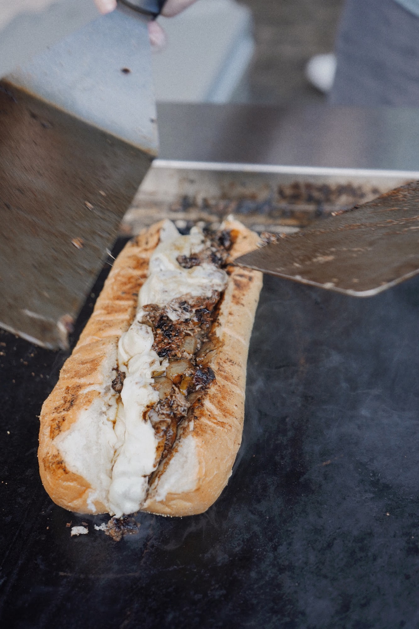 Vice Society Tallahassee