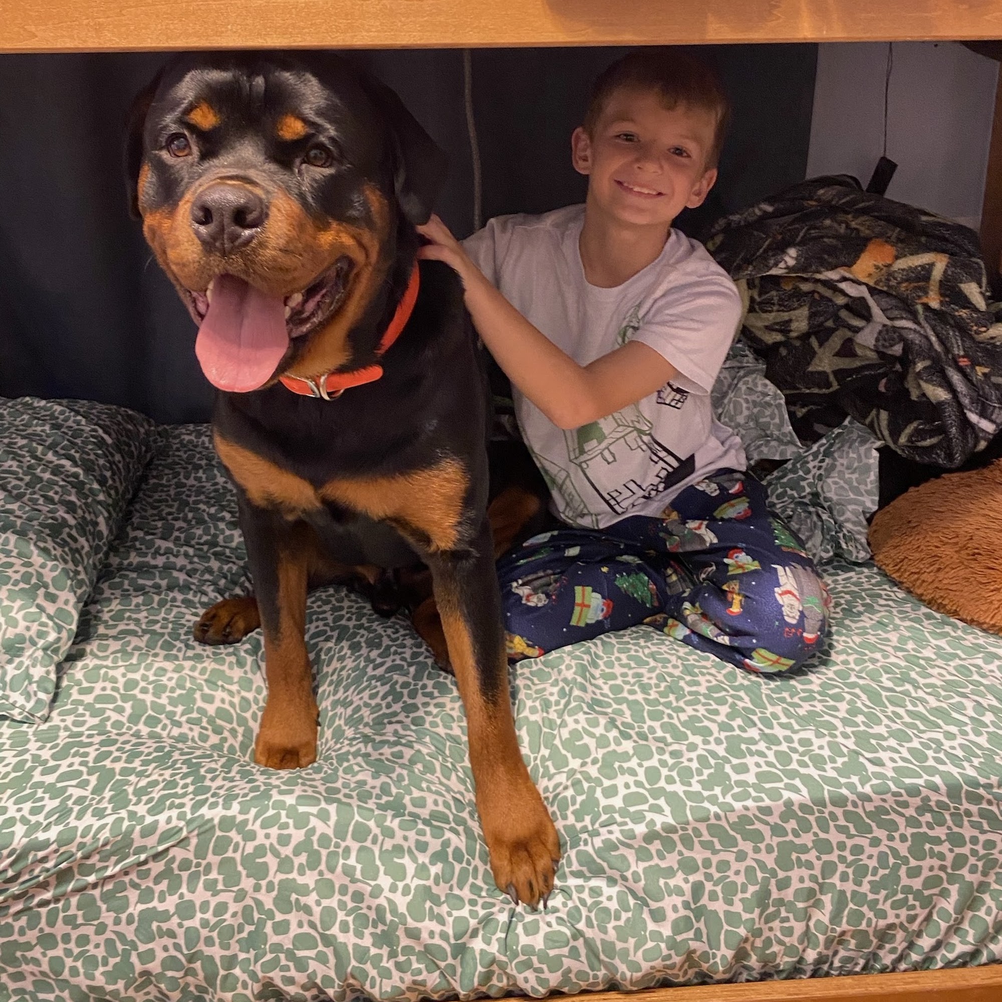 Von Der Quinn Rottweilers Tallahassee