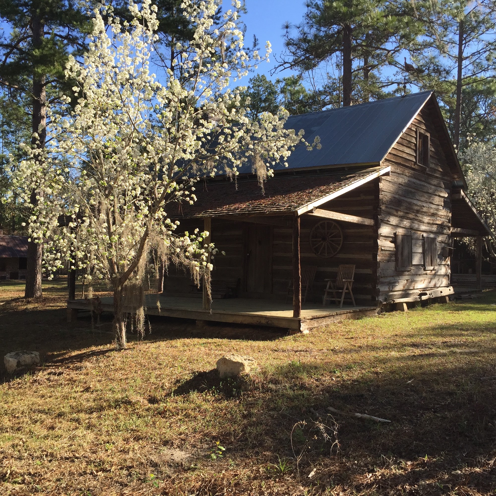 Jubilee Orchards Tallahassee