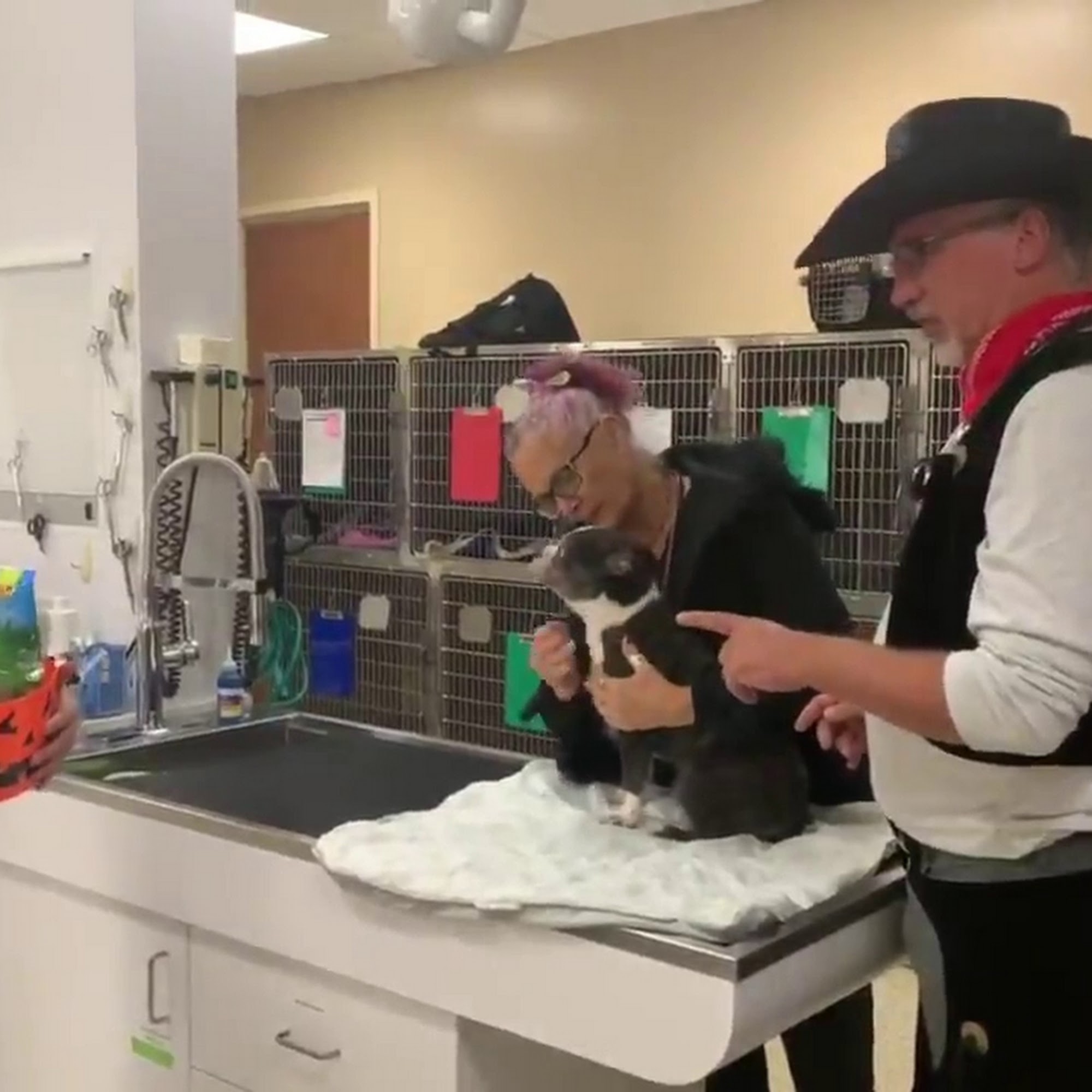 Animal Wellness Clinic of Tamarac Tamarac