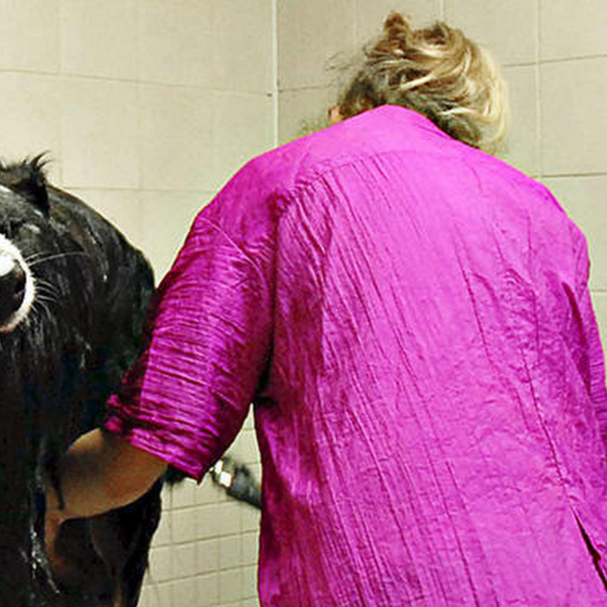 Affectionate Pet Grooming Tamarac