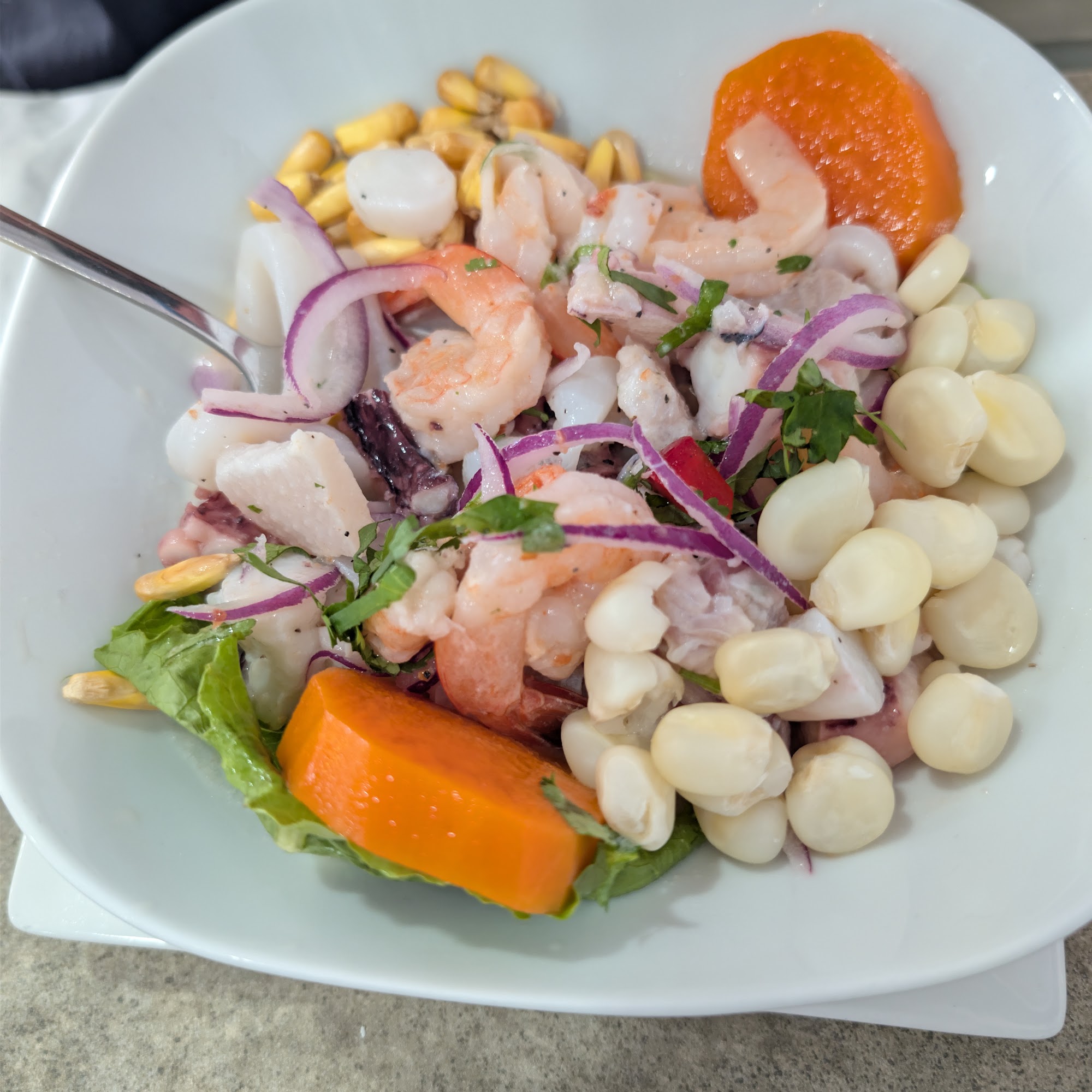 Restaurante Comida Peruana | Freddie Restaurant Comida Colombiana Y Peruana | Restaurante Comida Colombiana Tamarac
