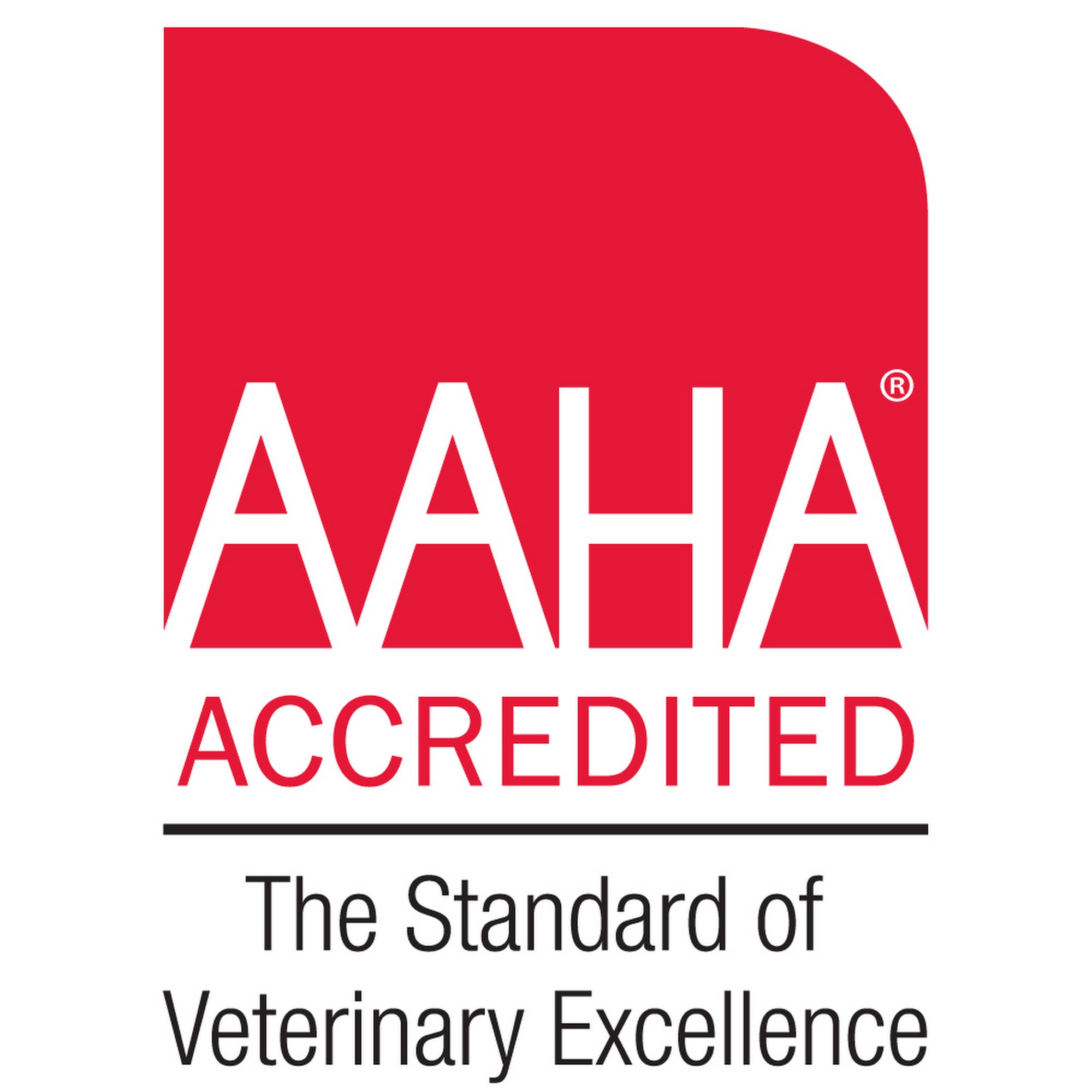 Bayshore Animal Clinic Tampa