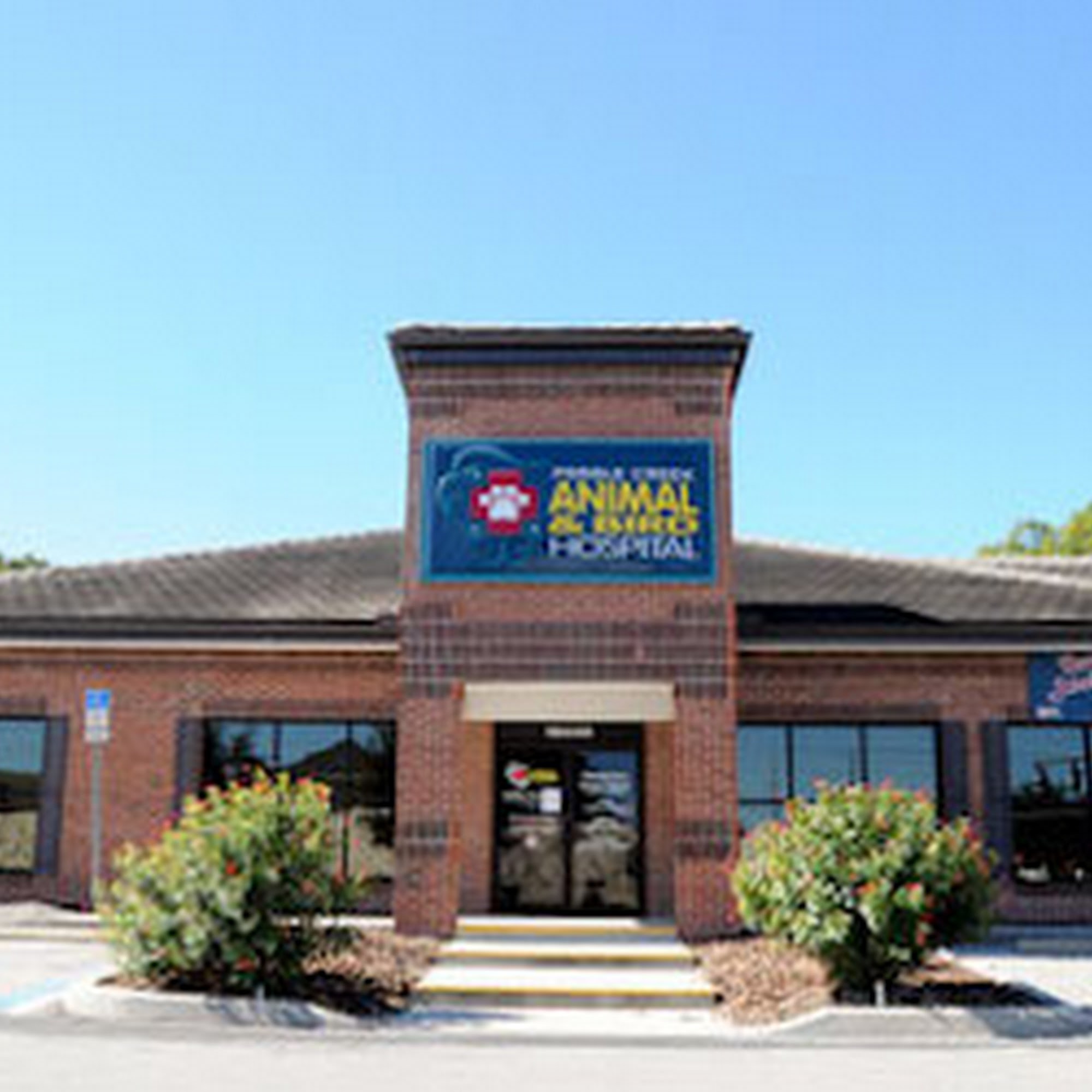 Pebble Creek Animal Hospital Tampa