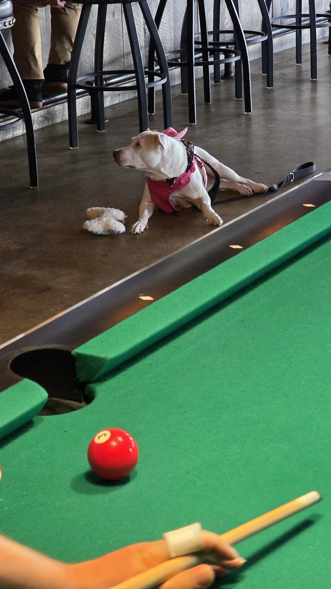 Paddy Wagon Irish Pub Menu