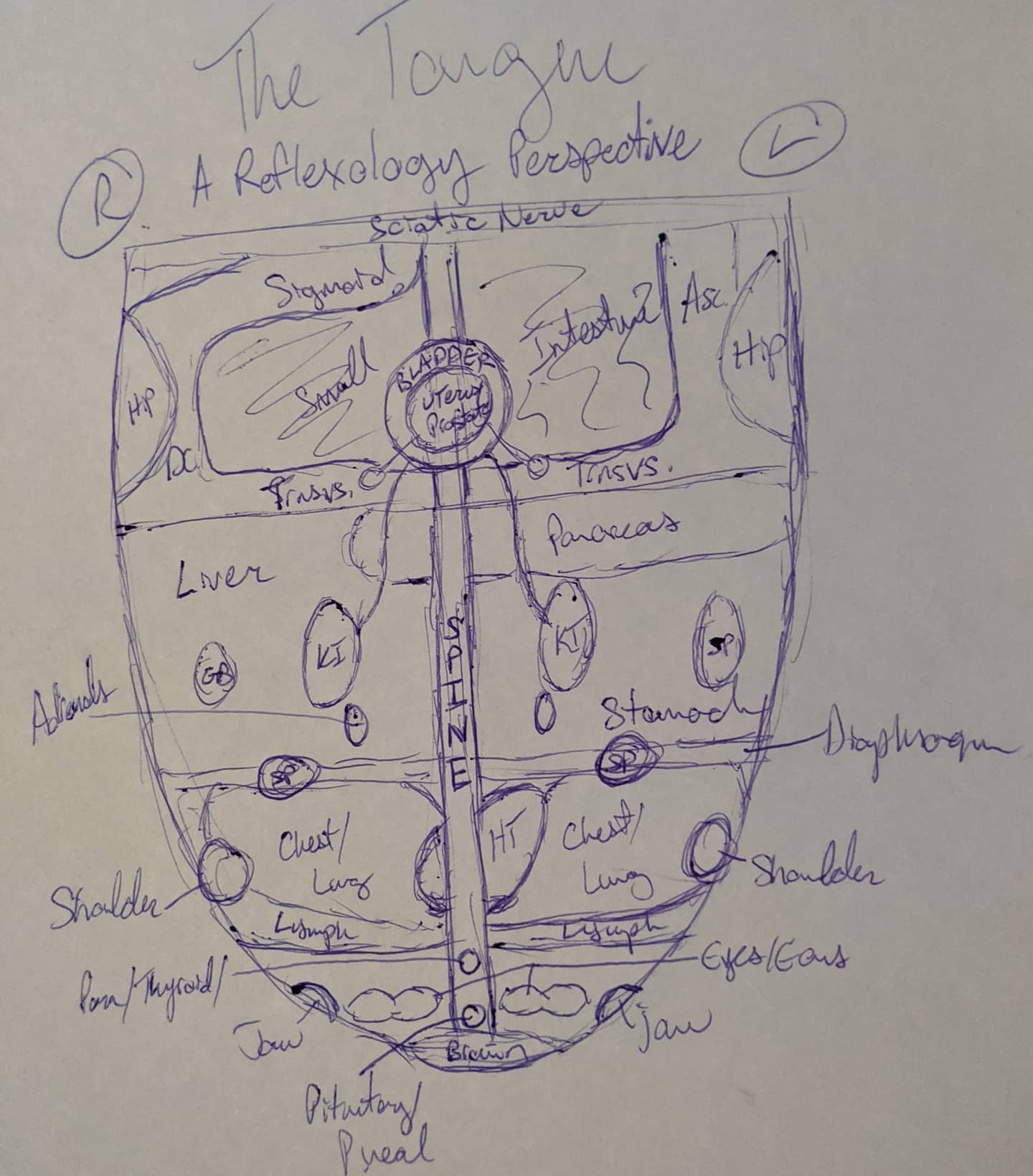 Sam Belyea - Reflexologist