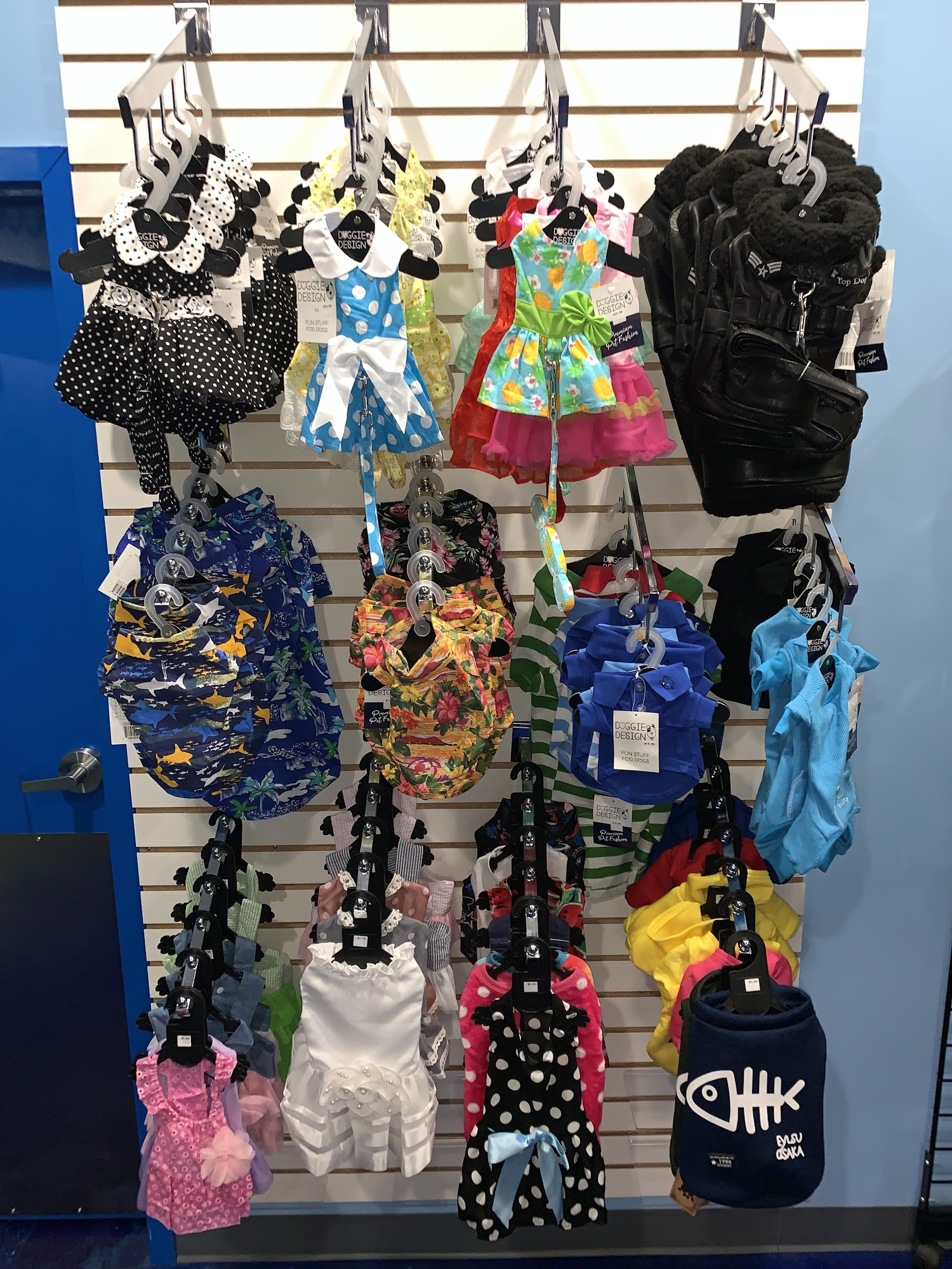 Bow Wow Pet Salon Tampa