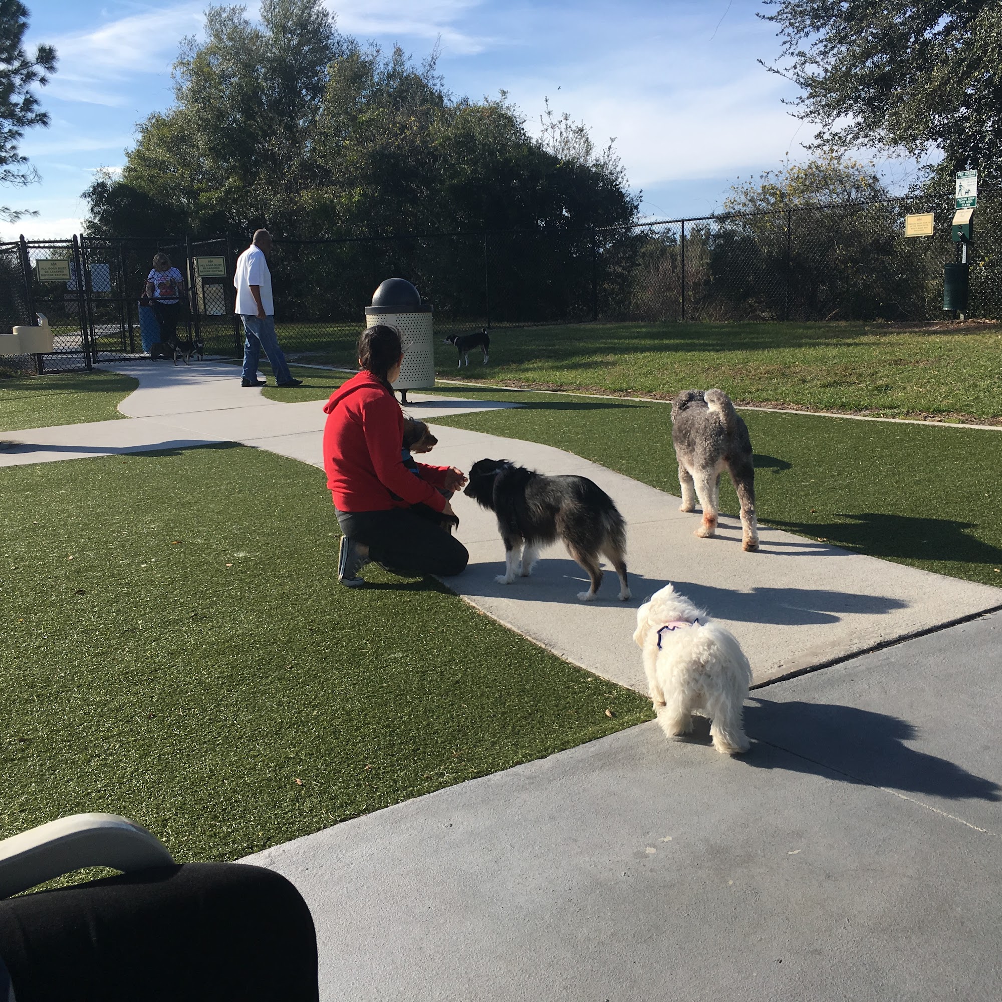Northwest County Dog Park Tampa