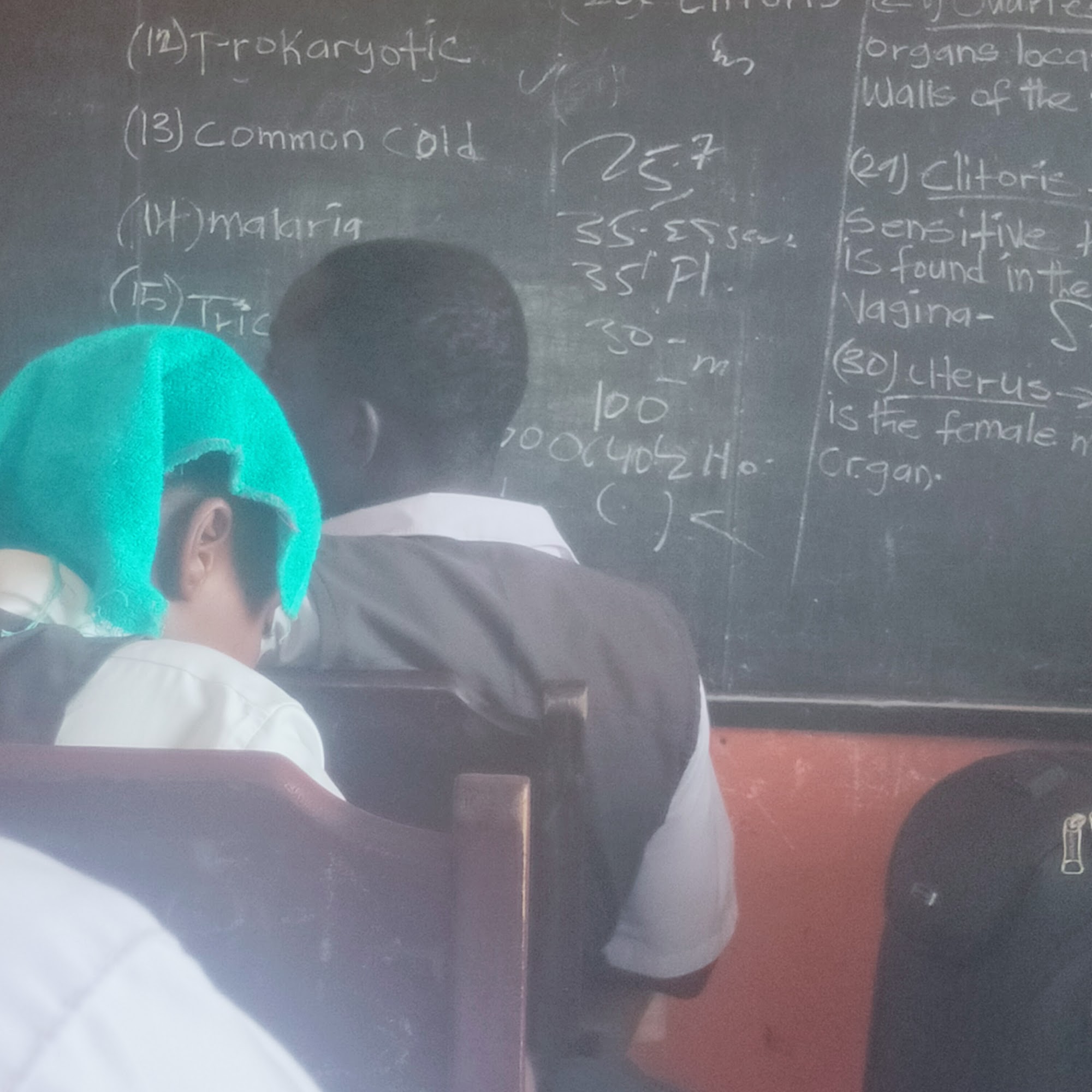 Sheppard Electrical Services