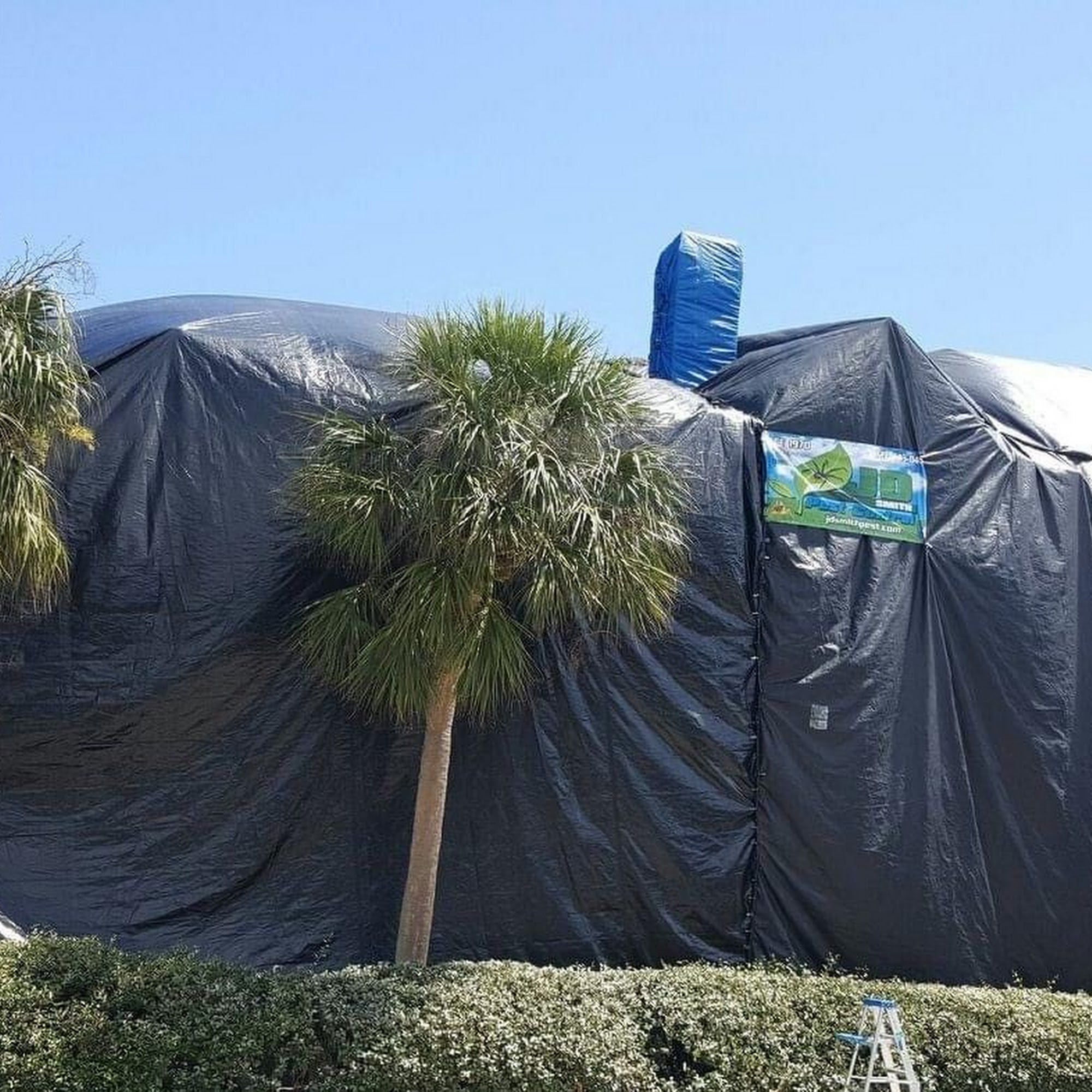 Tampa Pest Control & Dryer Vent Cleaning And Air Duct Cleaning Services, FL