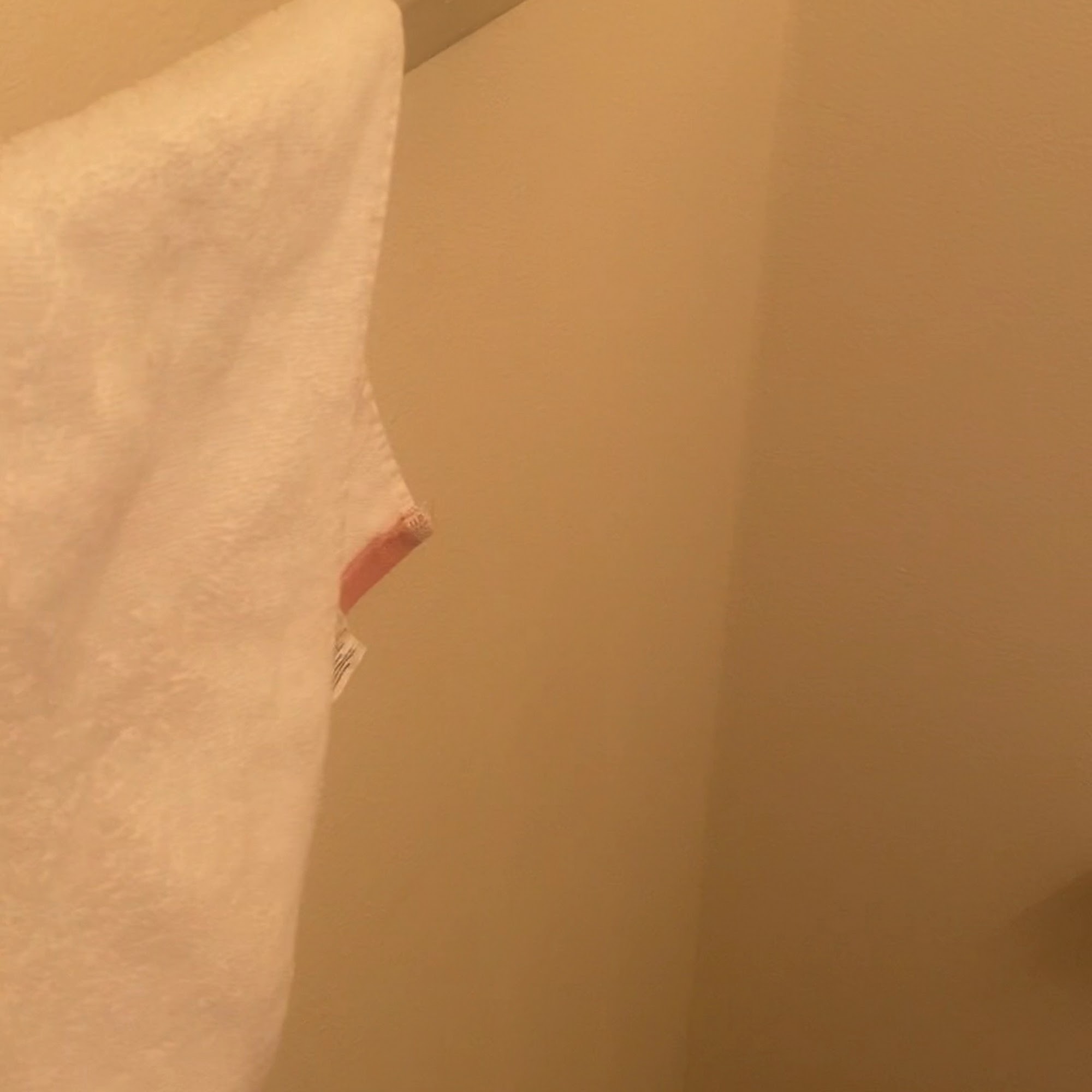 Drink 4002 E Bird St, Tampa