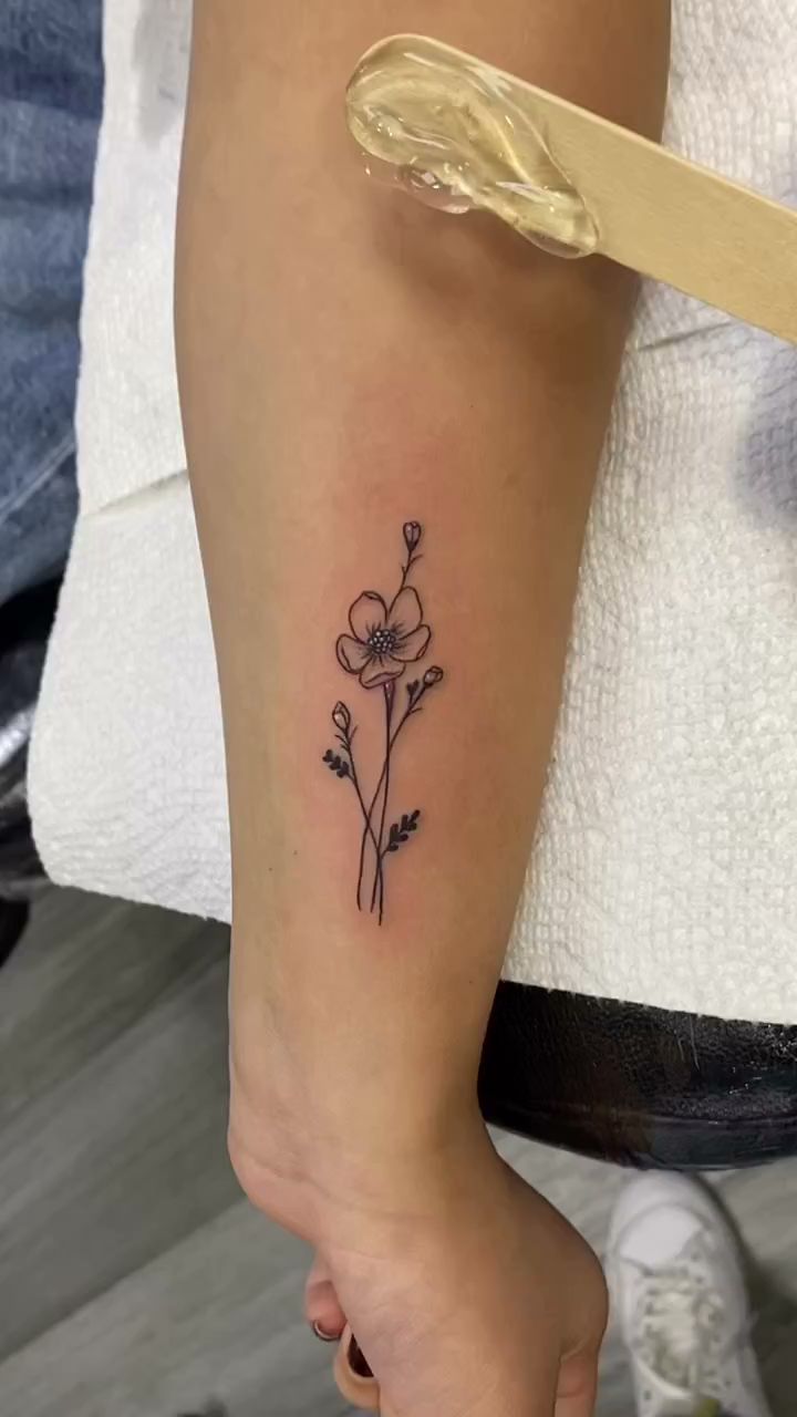 Del Castillo Art W Waters Ave #1412, Tampa Florida 33604