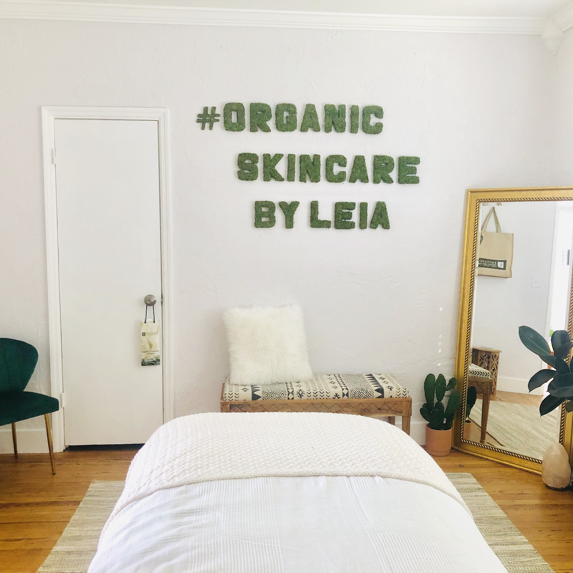 Organic Skincare By Leia 8557 W Linebaugh Ave, Tampa Florida 33625