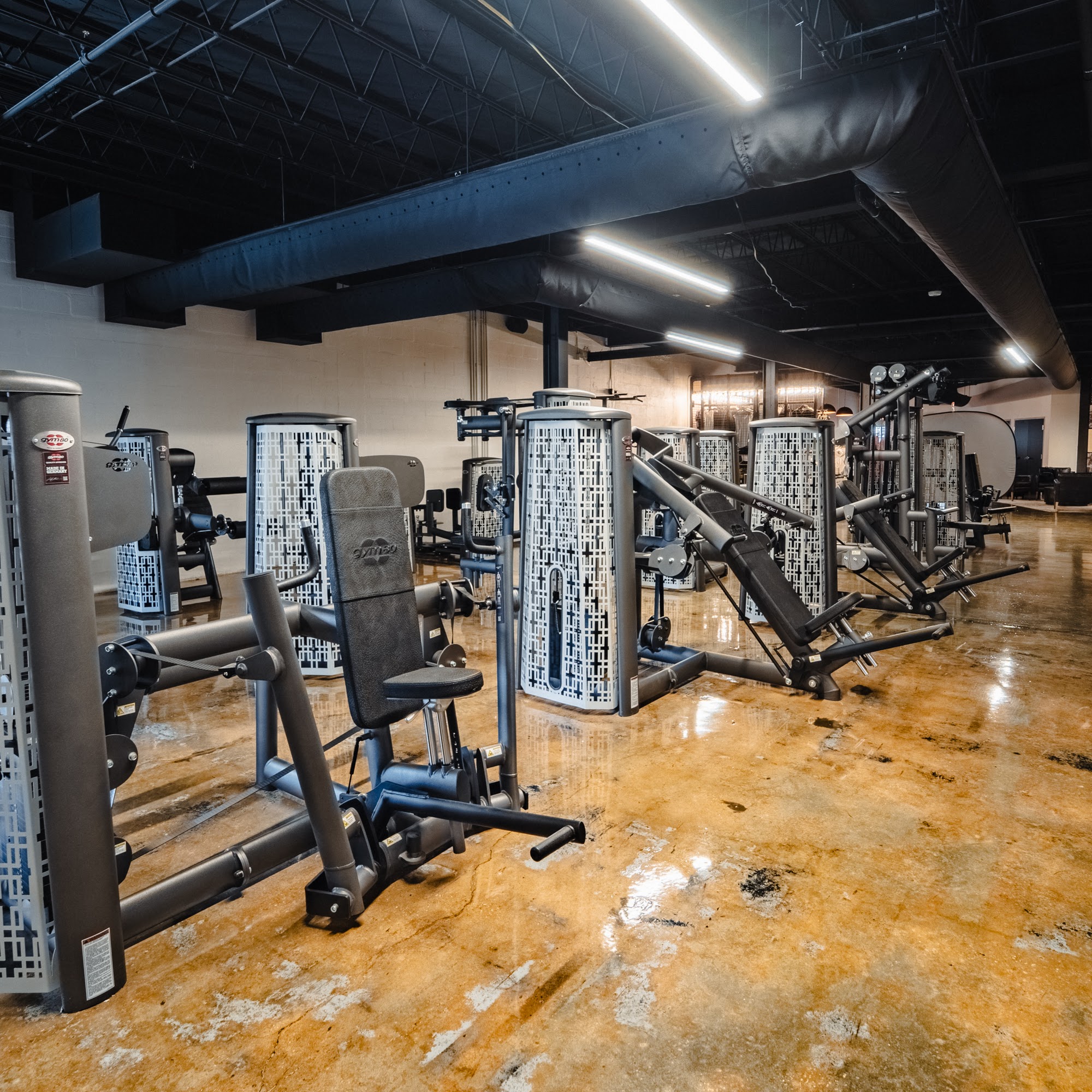 Gold's Gym Tampa Gas Worx Tampa