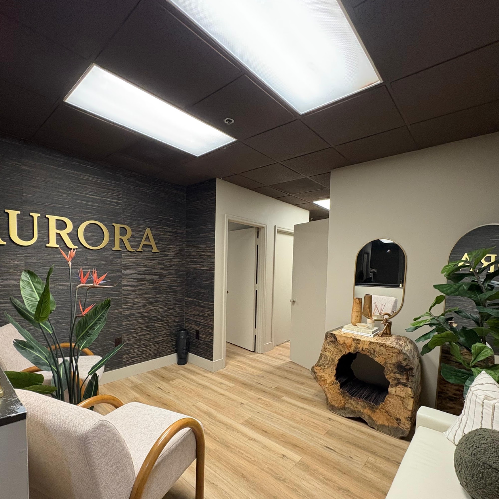 AURORA MEDICAL TAMPA