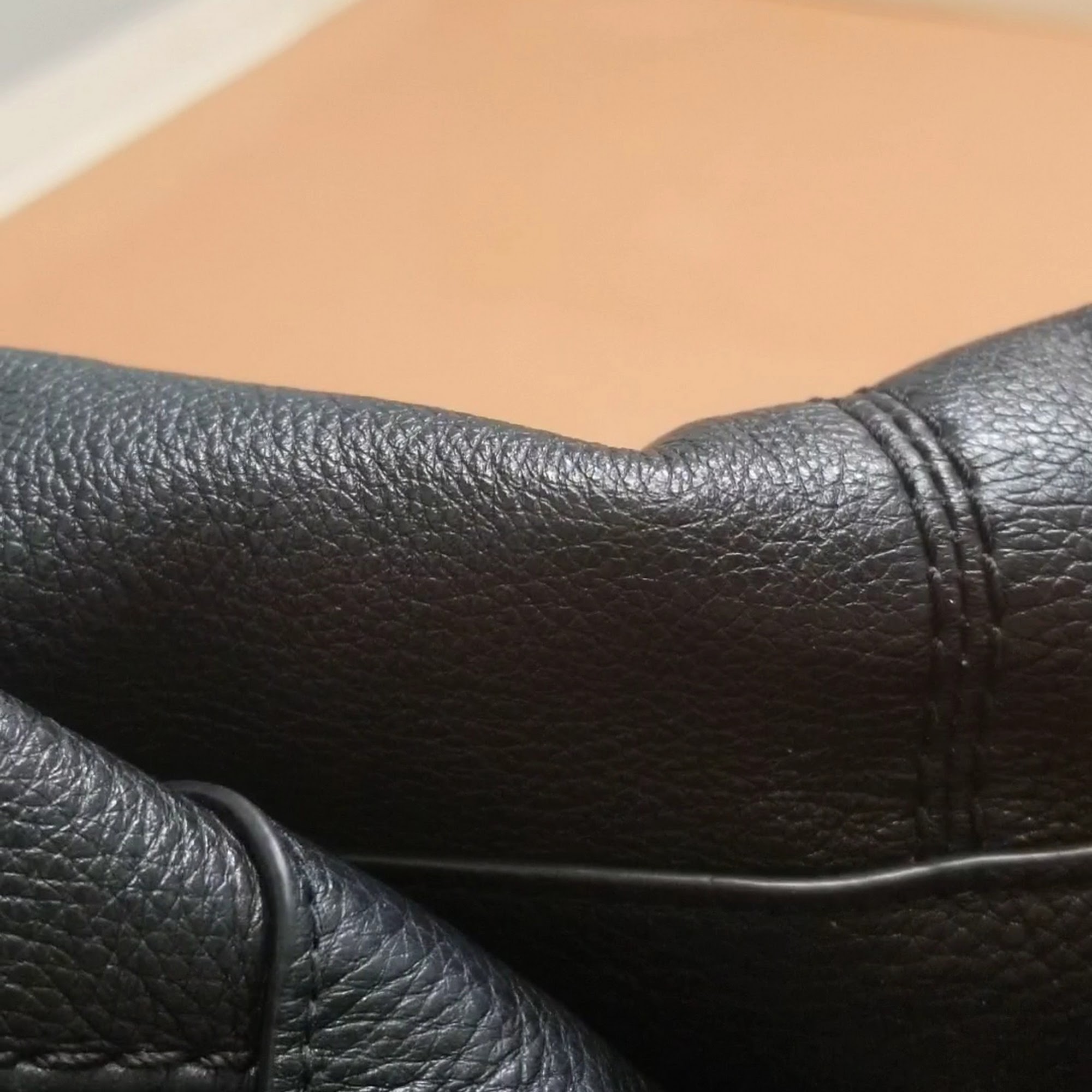 Saint Francis Pet Care Center Tarpon Springs