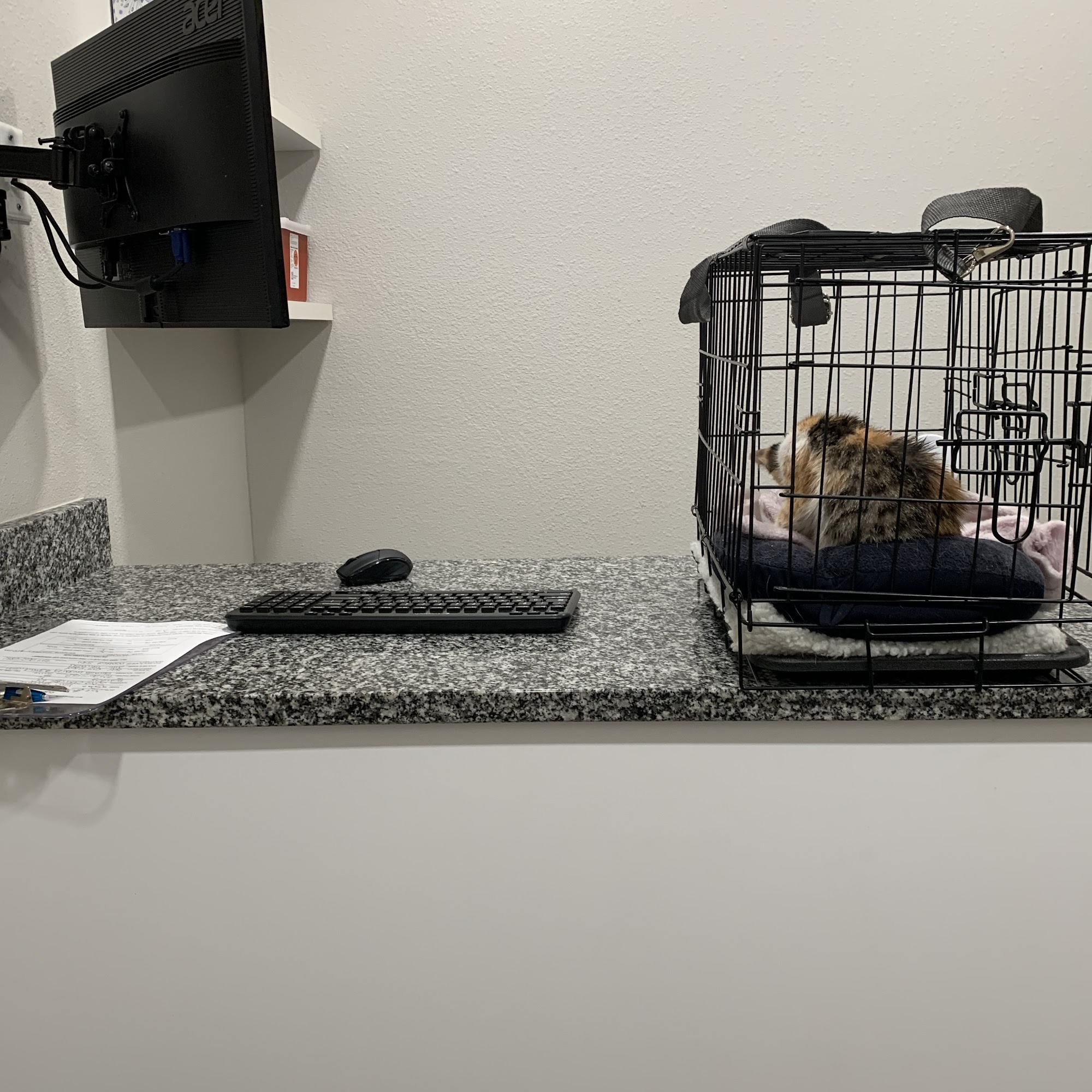 Westlake Animal Hospital Tarpon Springs