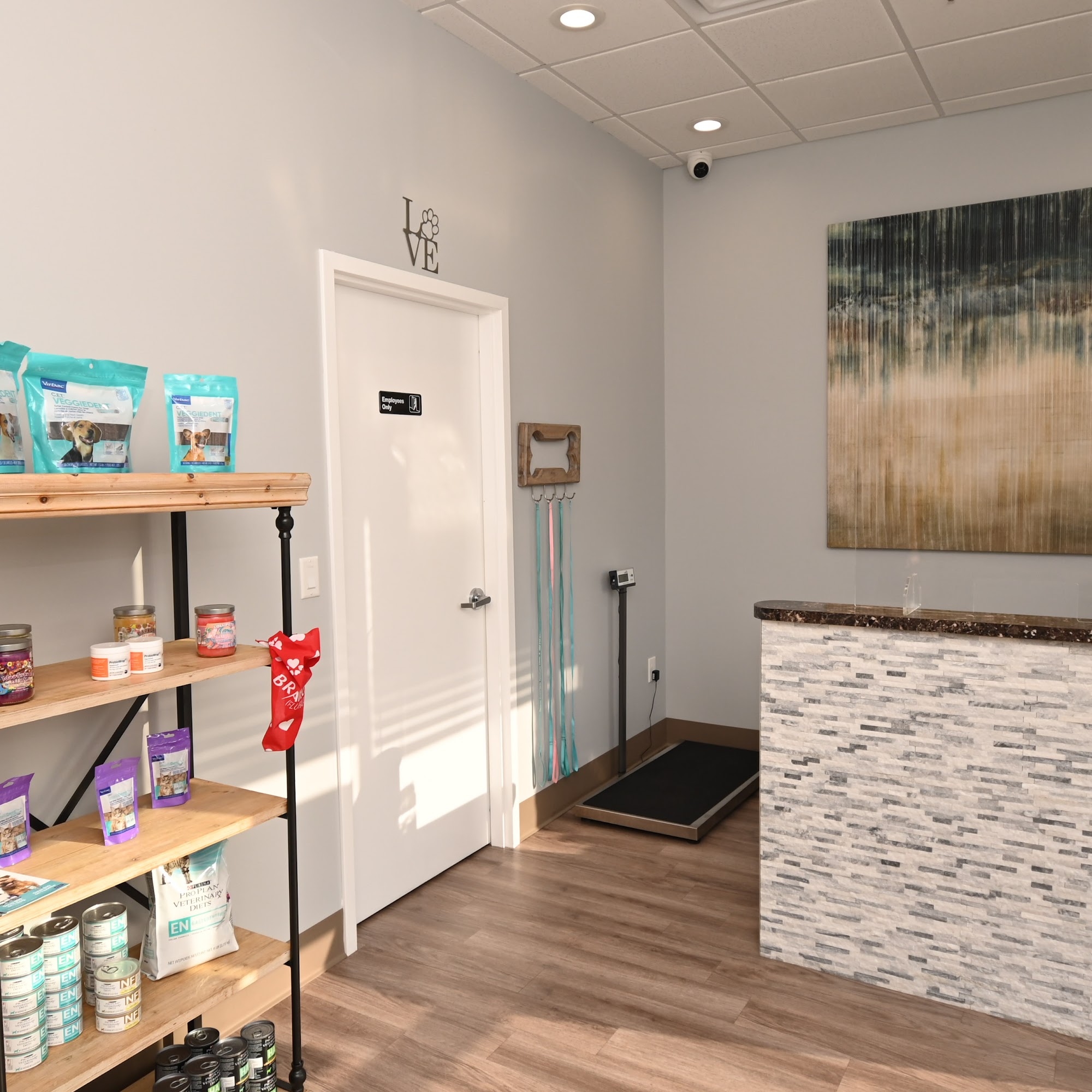 Tavares Crossroads Veterinary Clinic Tavares