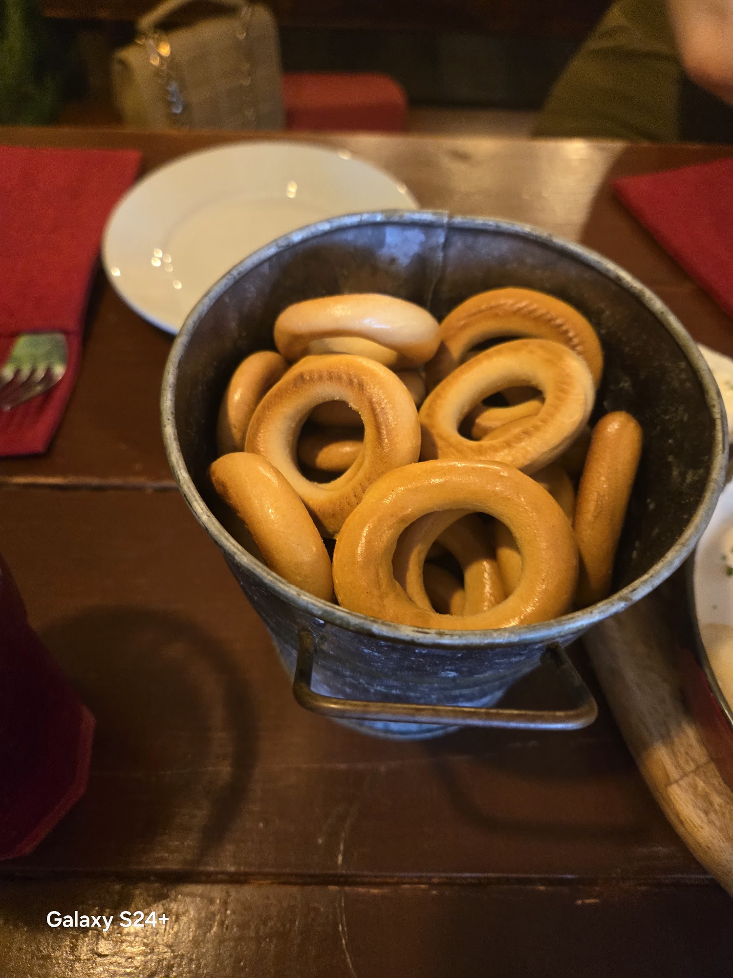 Babushka's - Temple Terrace Temple Terrace