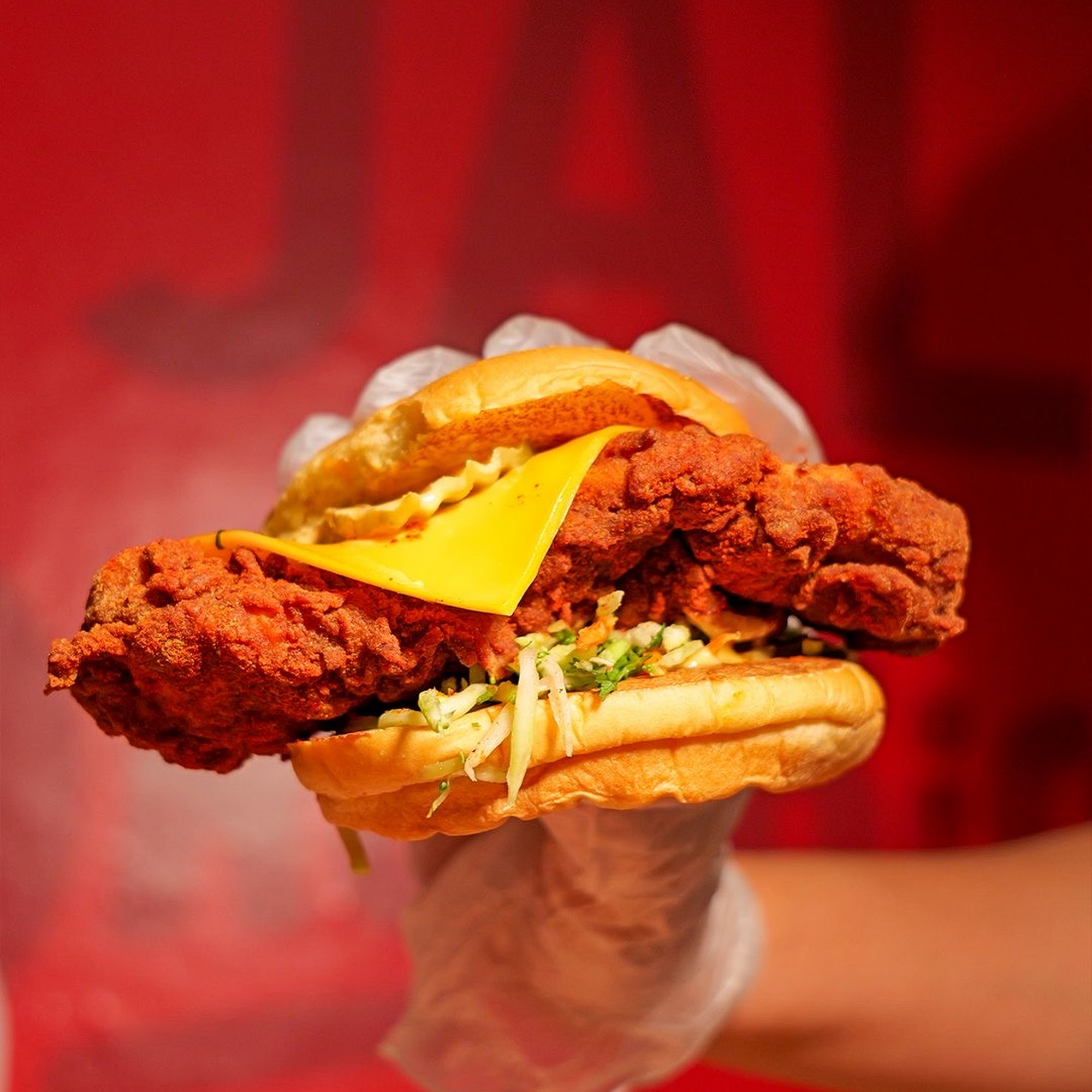 The Red Bird Hot Chicken & Fries Temple Terrace