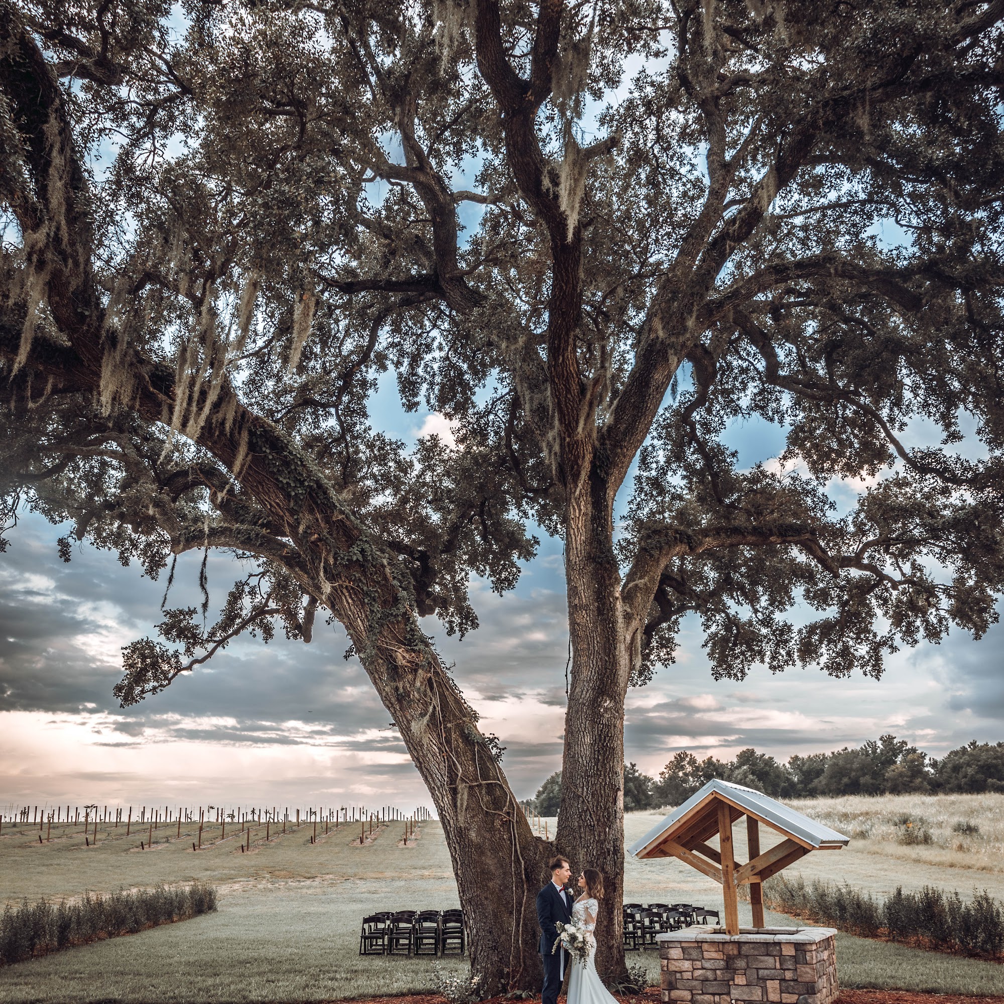 The Osprey View Thonotosassa