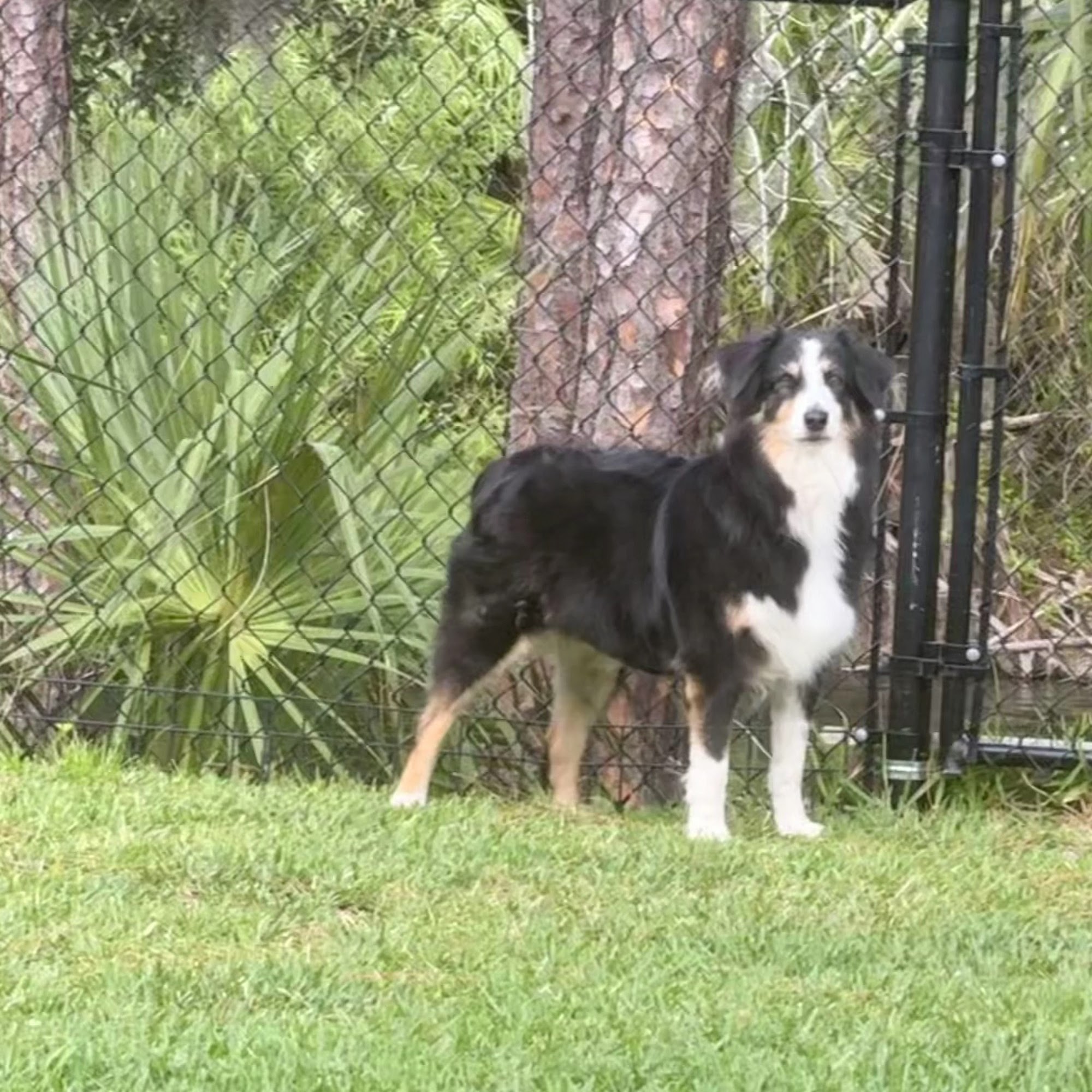 Animal Care Clinic of Titusville Titusville