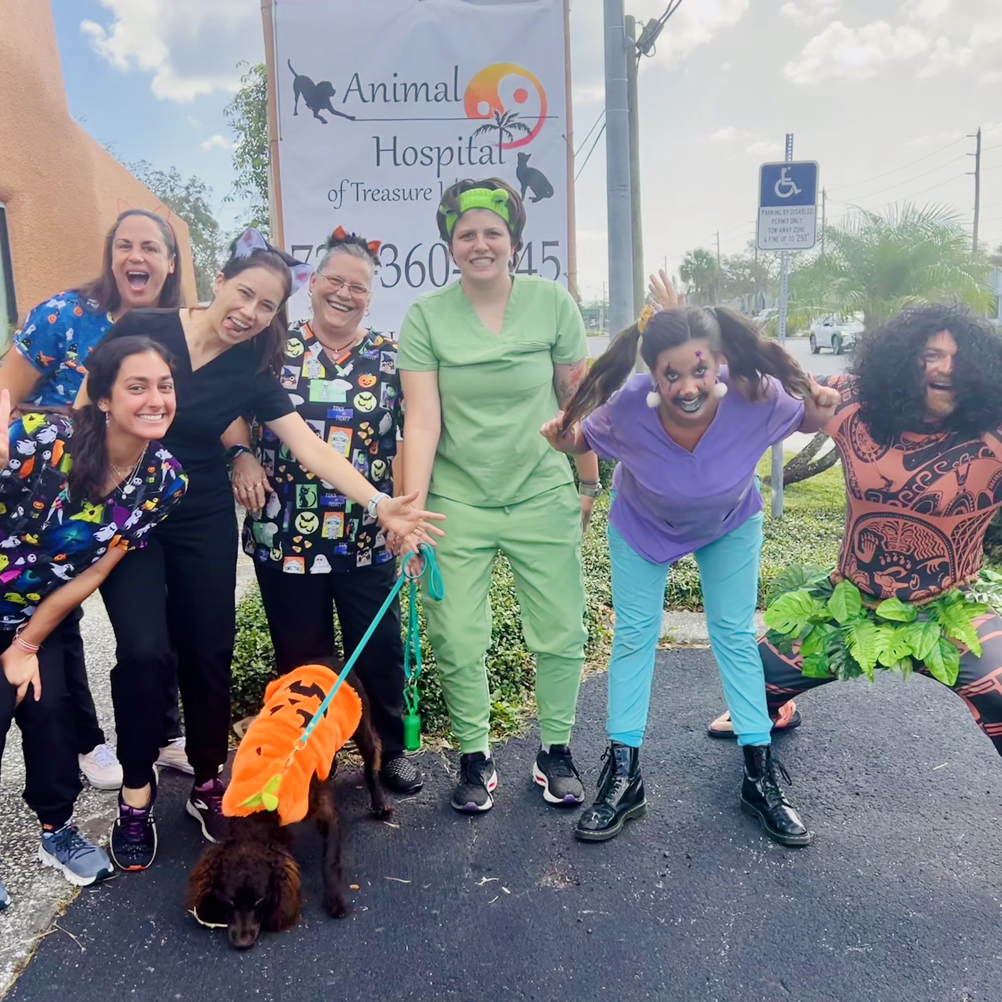 Animal Hospital-Treasure Island Treasure Island