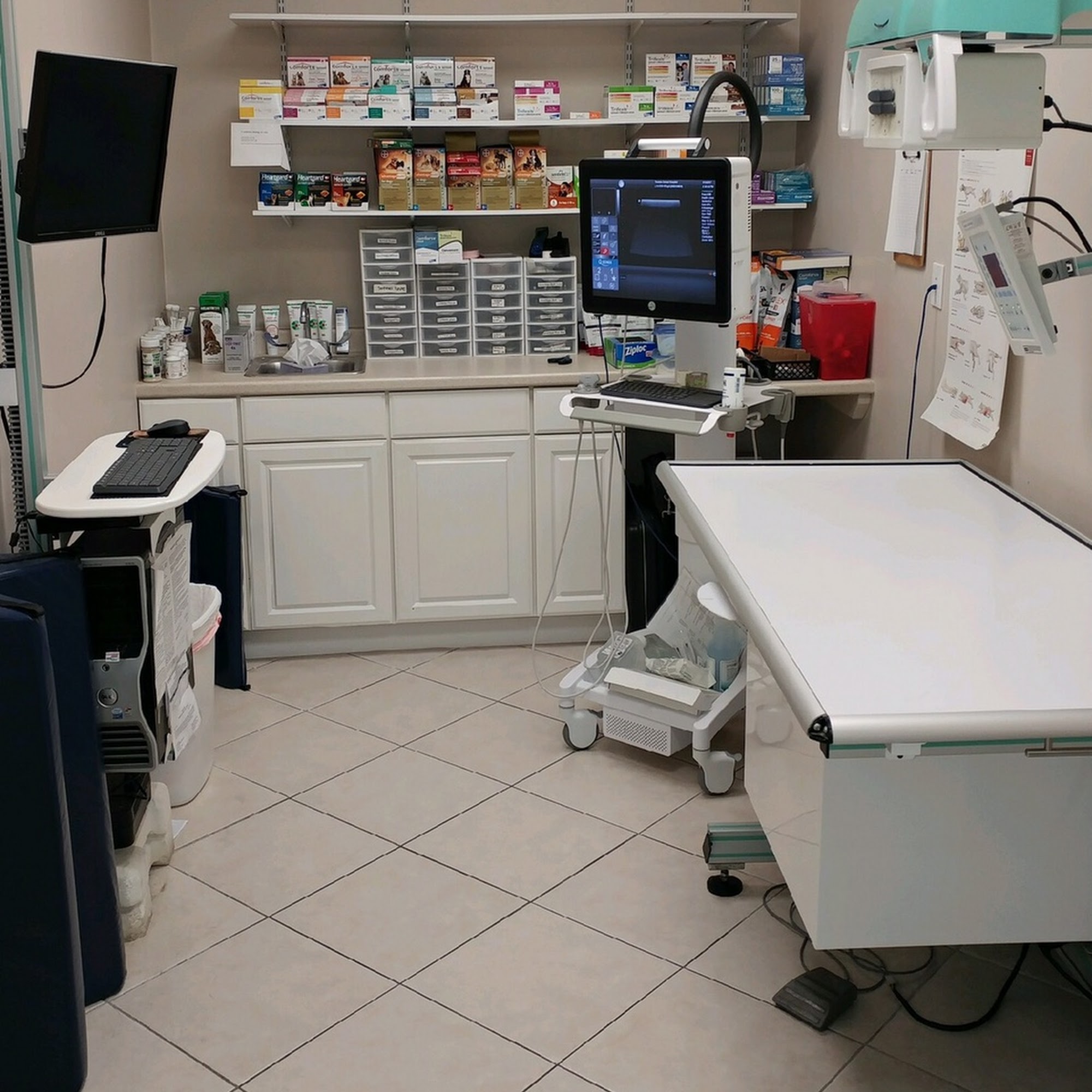 Trenton Animal Hospital Trenton