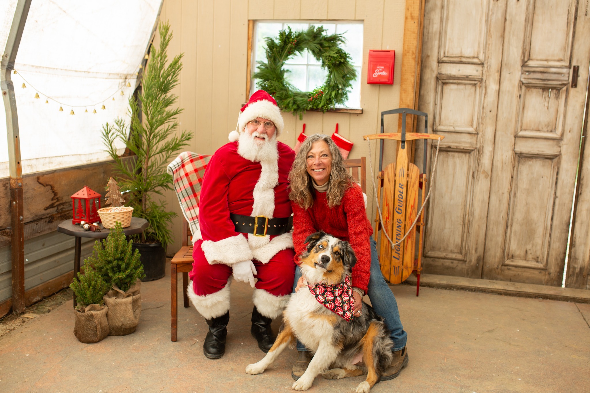 Ashley Marie's Photography