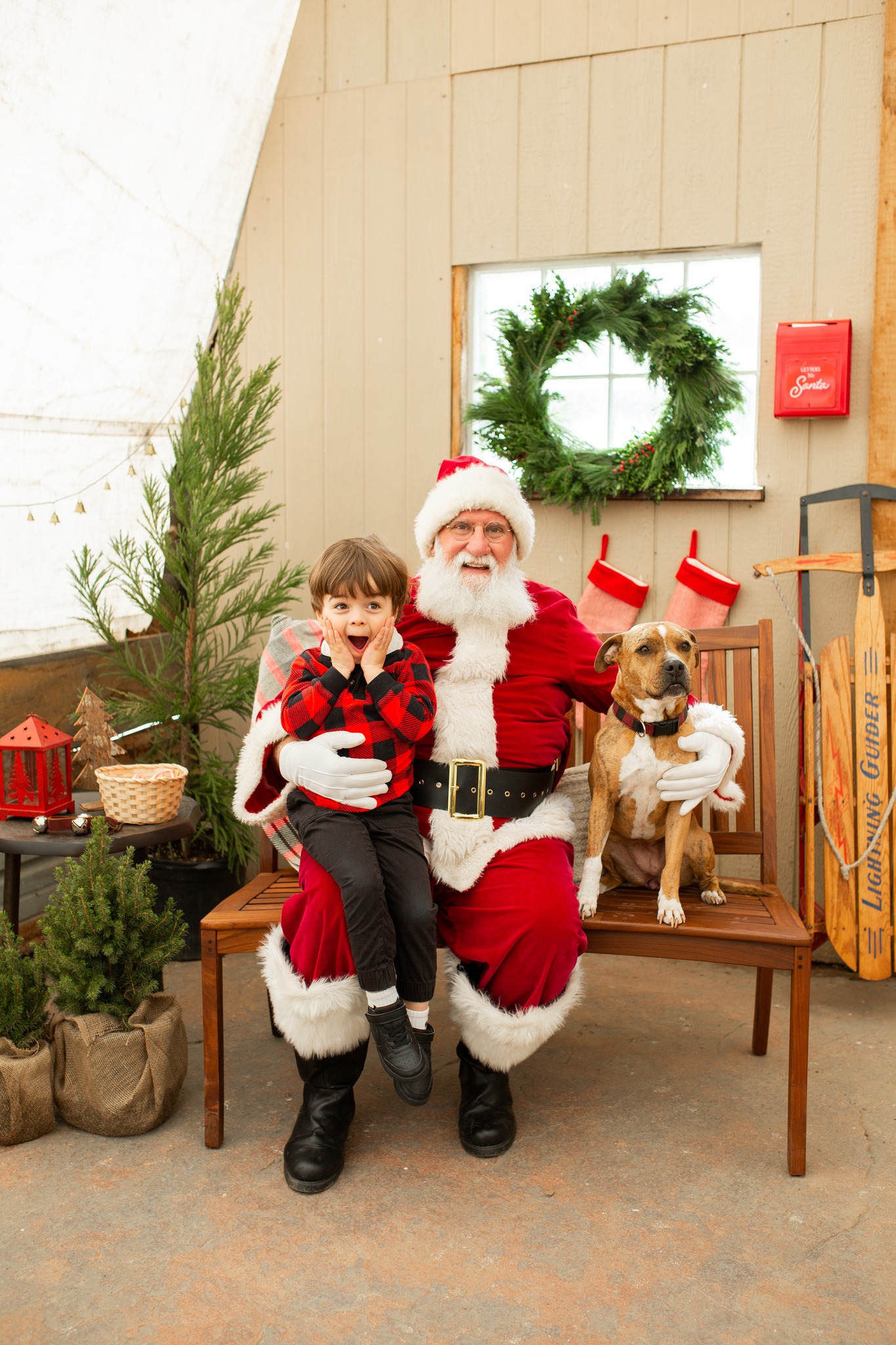 Ashley Marie's Photography