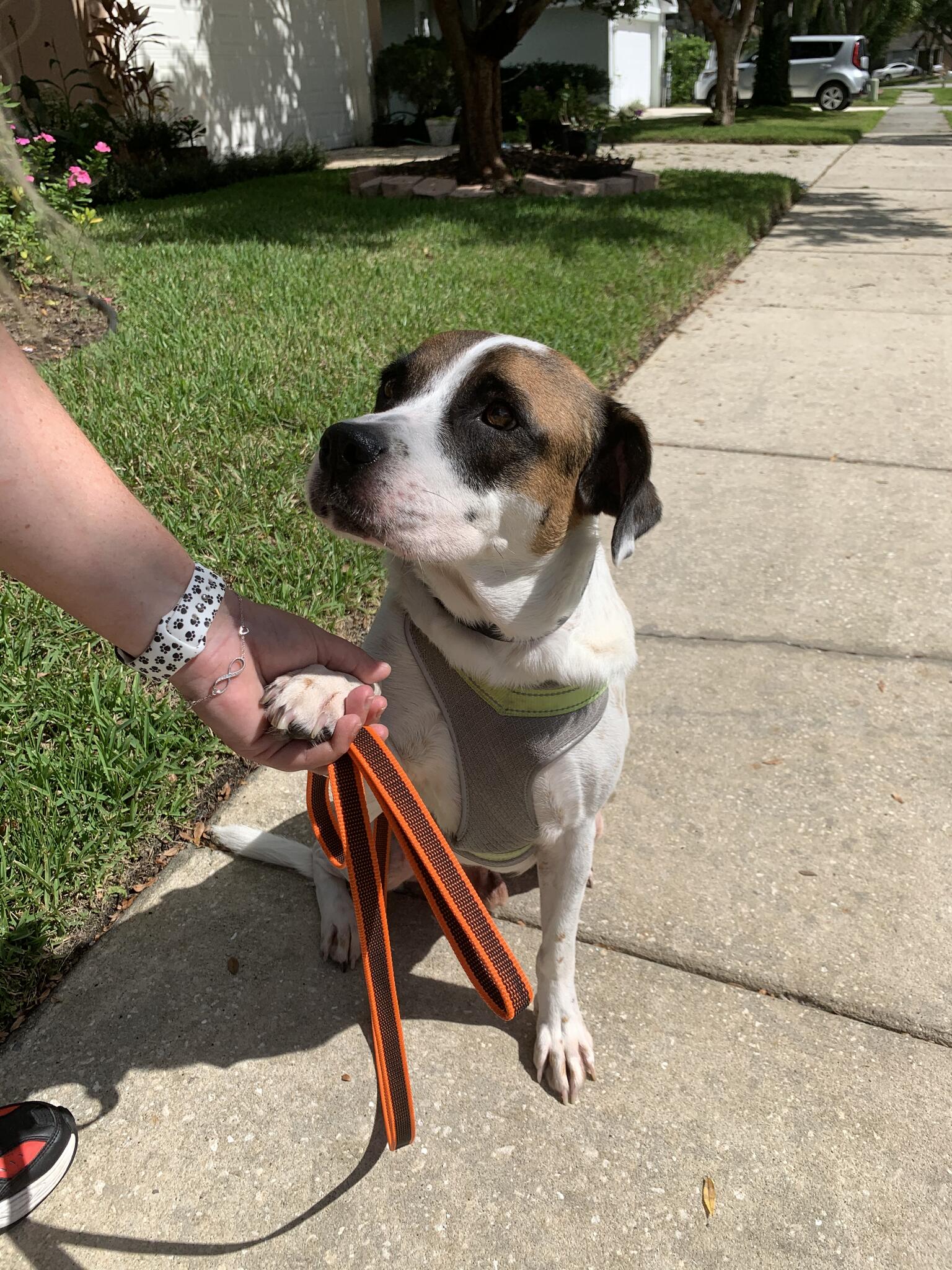 Photo credit: nextdoor