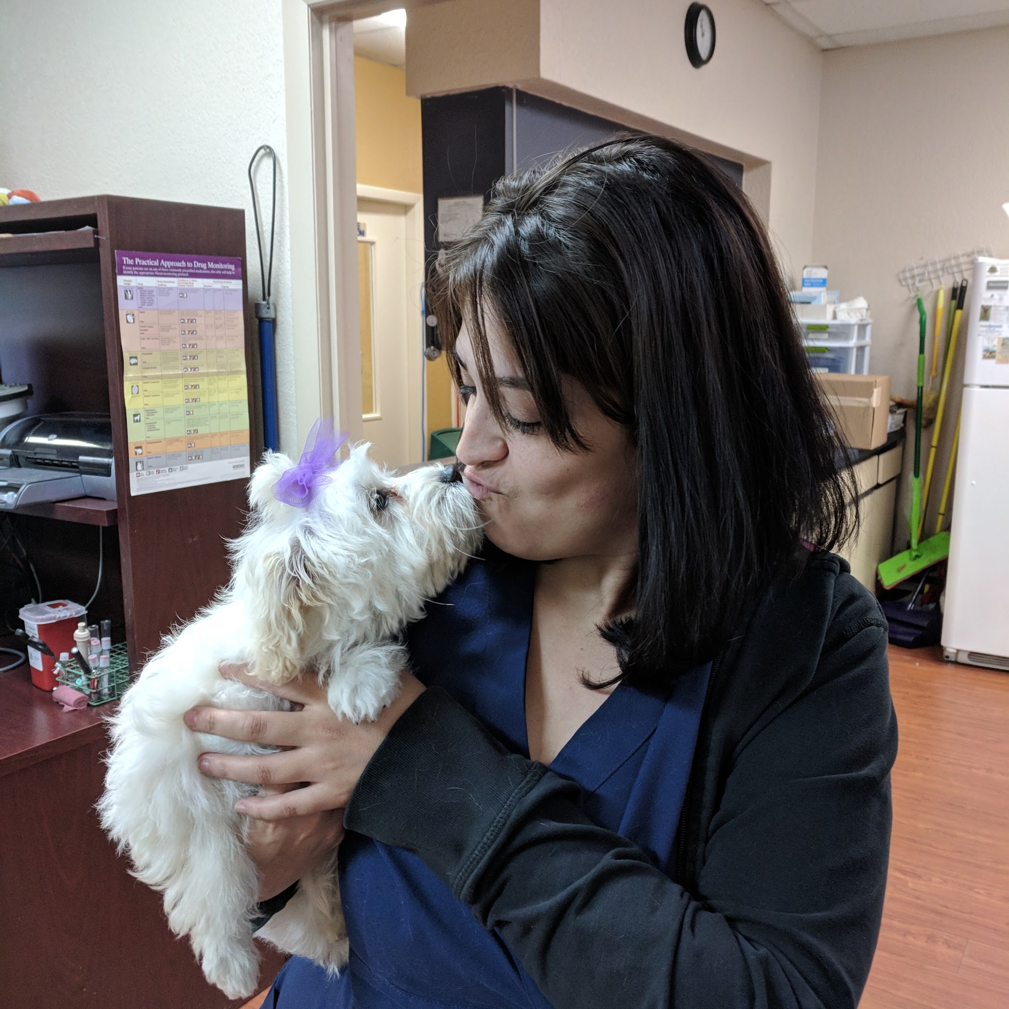 Noah's Ark Animal Hospital Valrico