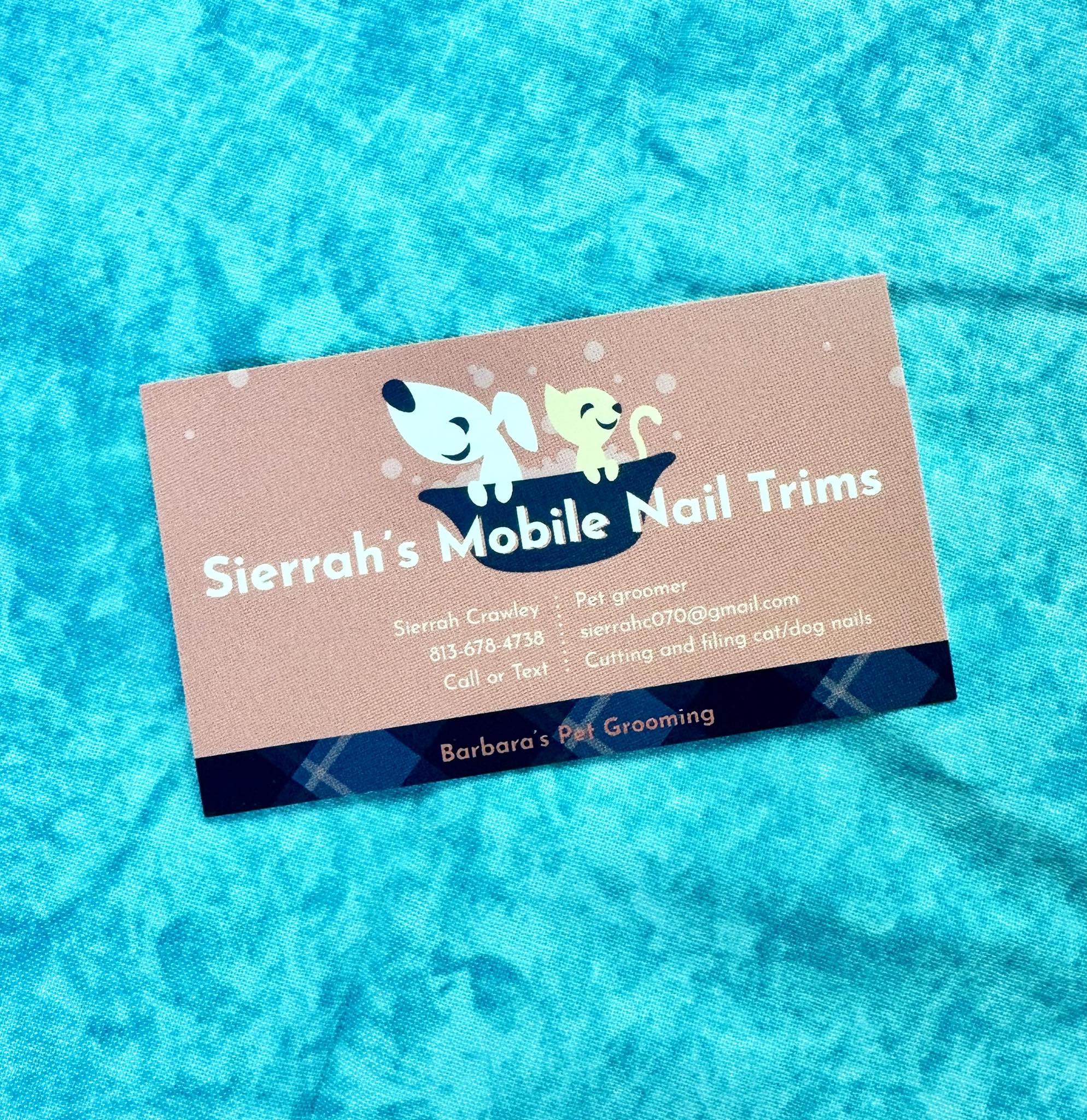 Barbara's Pet Grooming Valrico