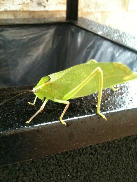 Photo credit: nextdoor