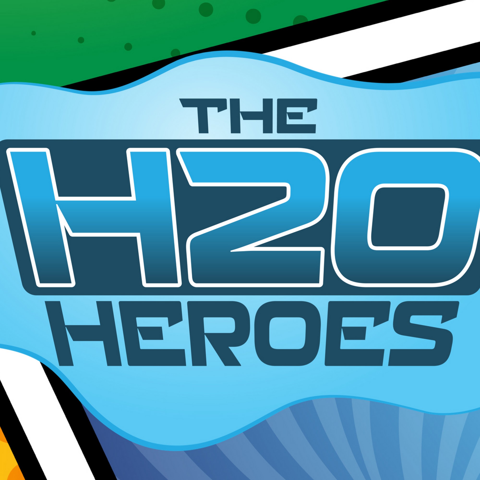 The H2O Heroes 3110 Lithia Pinecrest Rd, Valrico Florida 33596