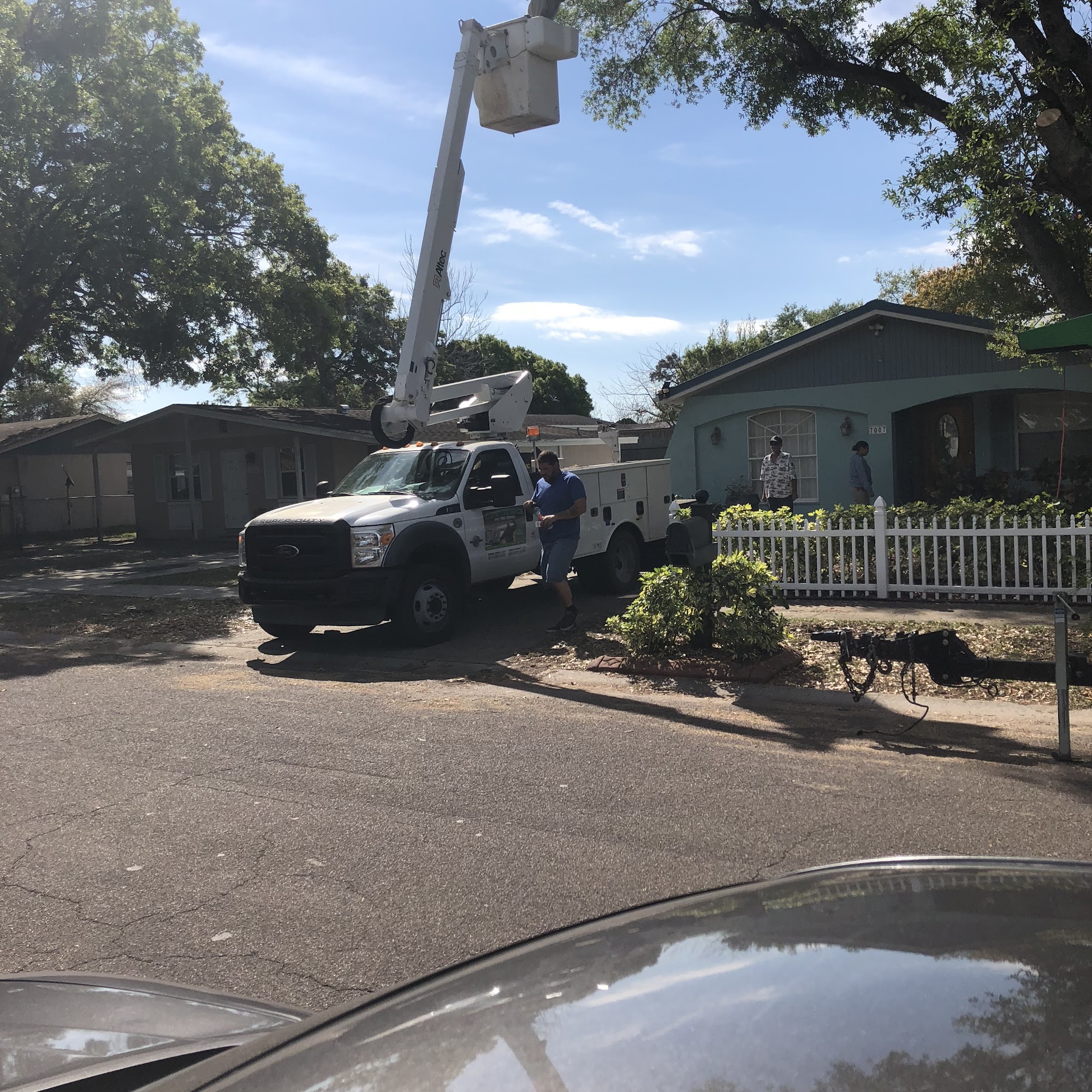 M1expert tree service inc