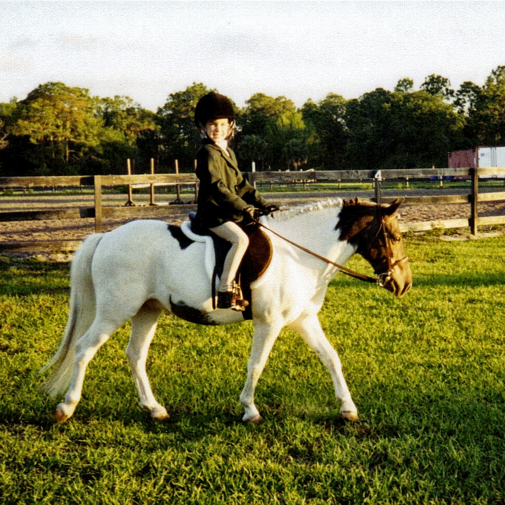 Myakka River Animal Clinic Venice