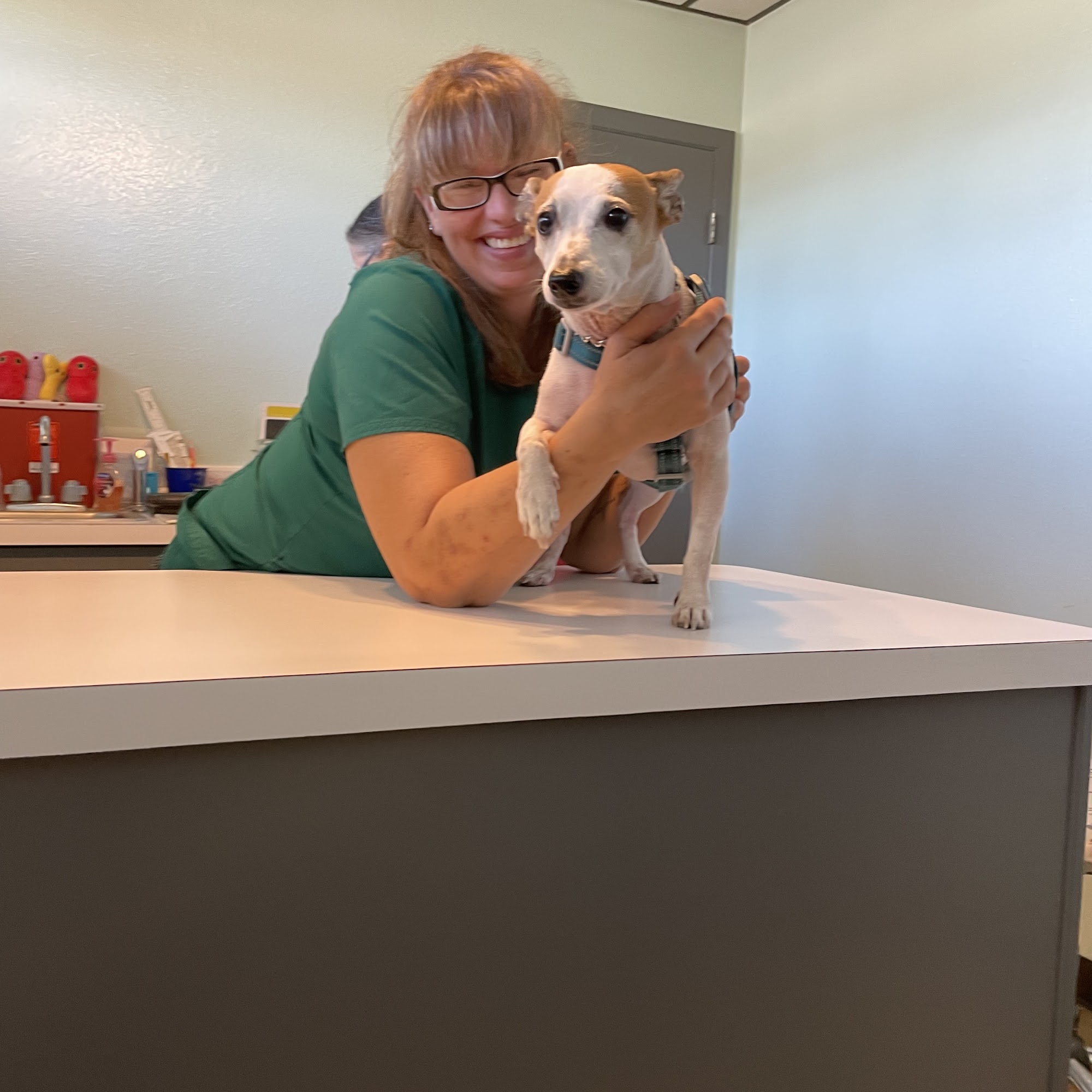 Ark Animal Hospital & Clinic Venice