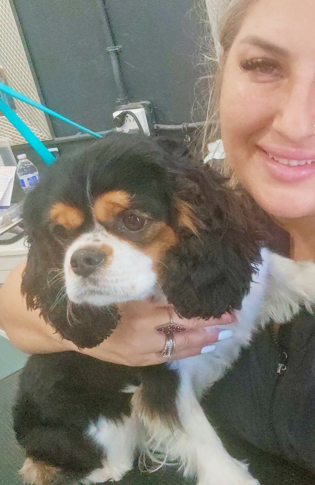 Grooming Tails Of Venice Venice