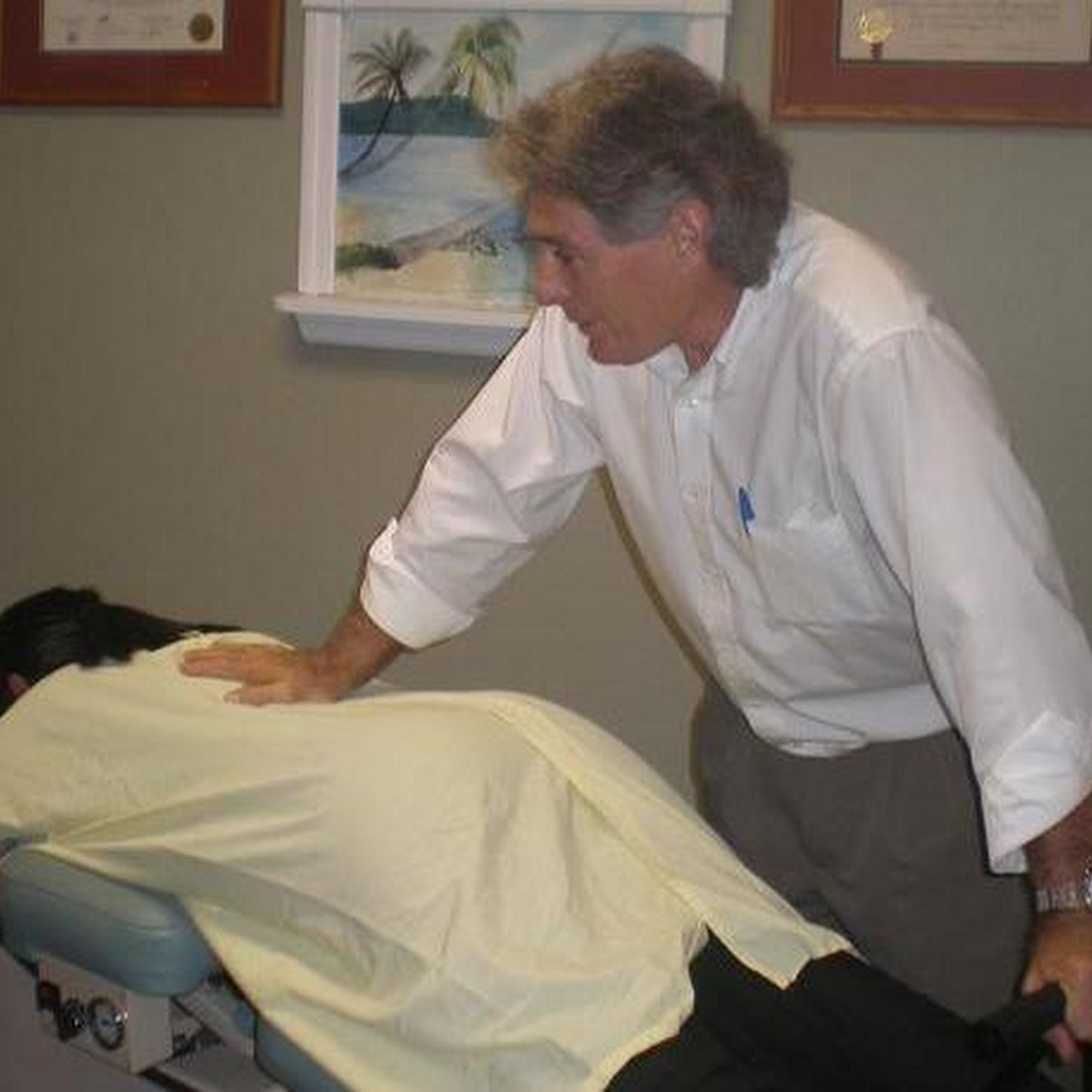 Dr Brian C Gibson, DC 153 Center Rd, Venice Florida 34285