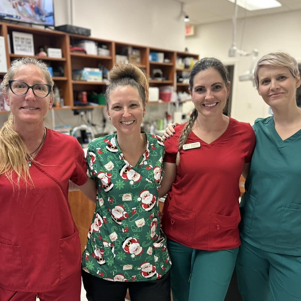 Planet Pet Animal Hospital Vero Beach