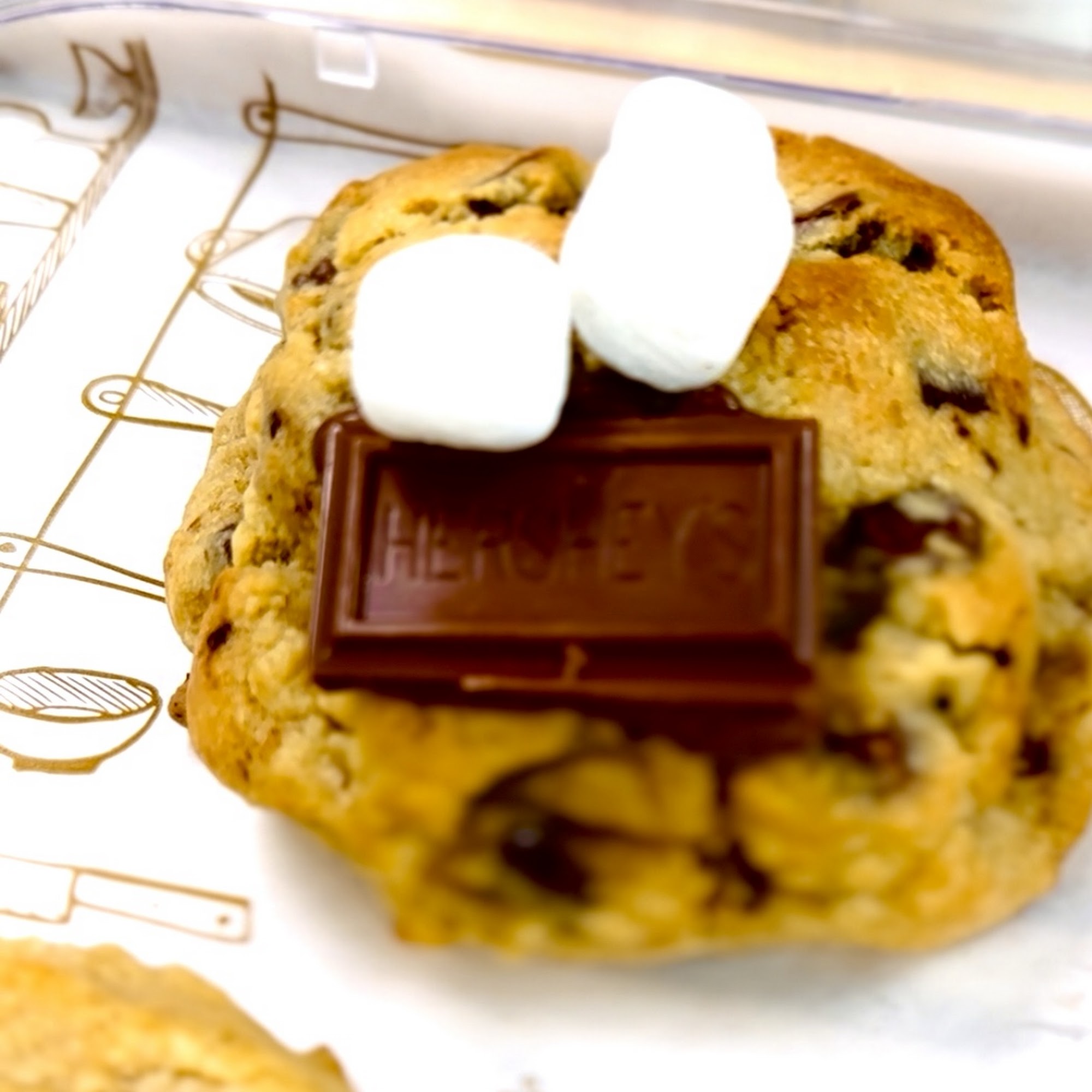 Steel N Roll Vero Beach